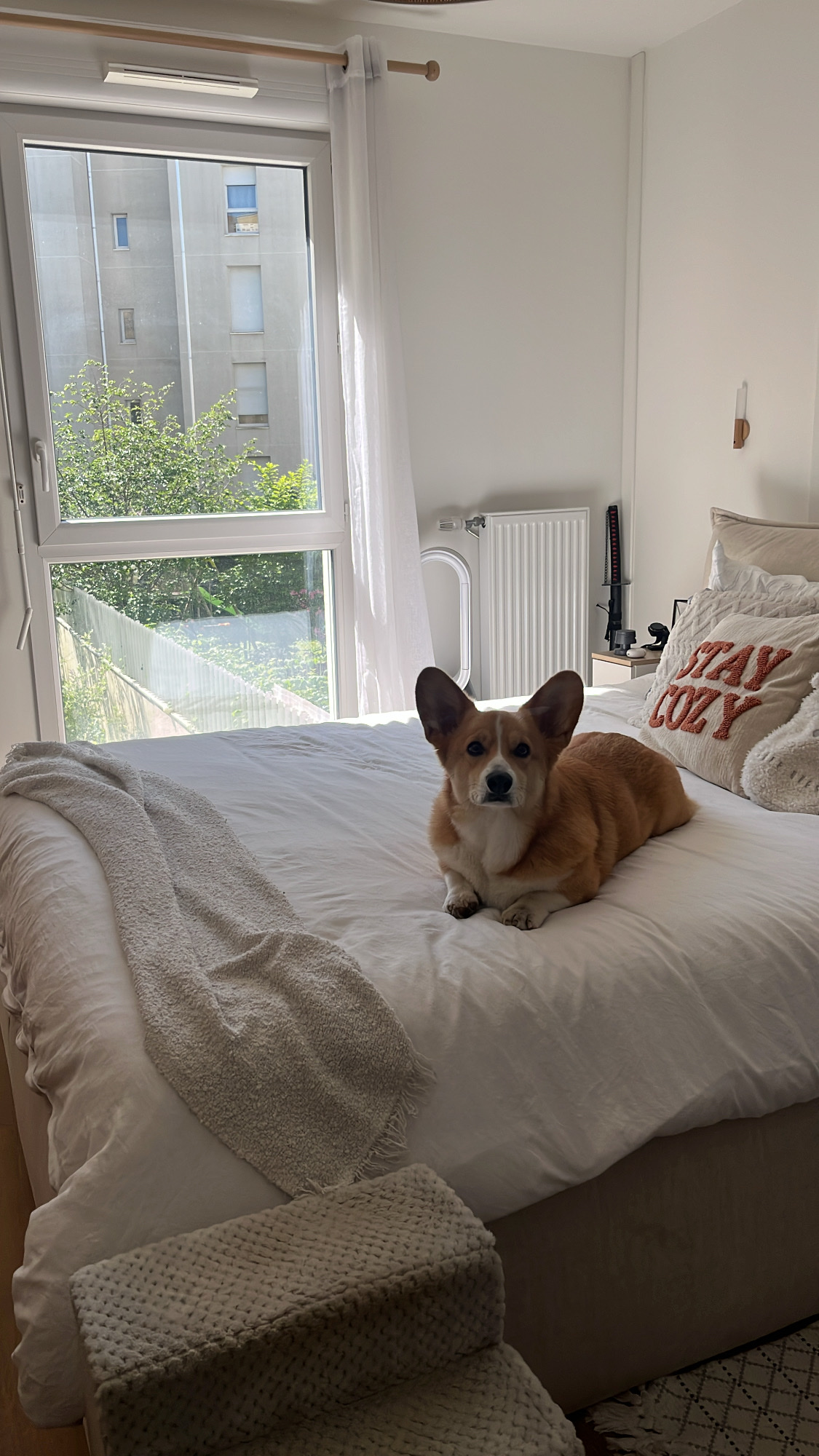 image-9