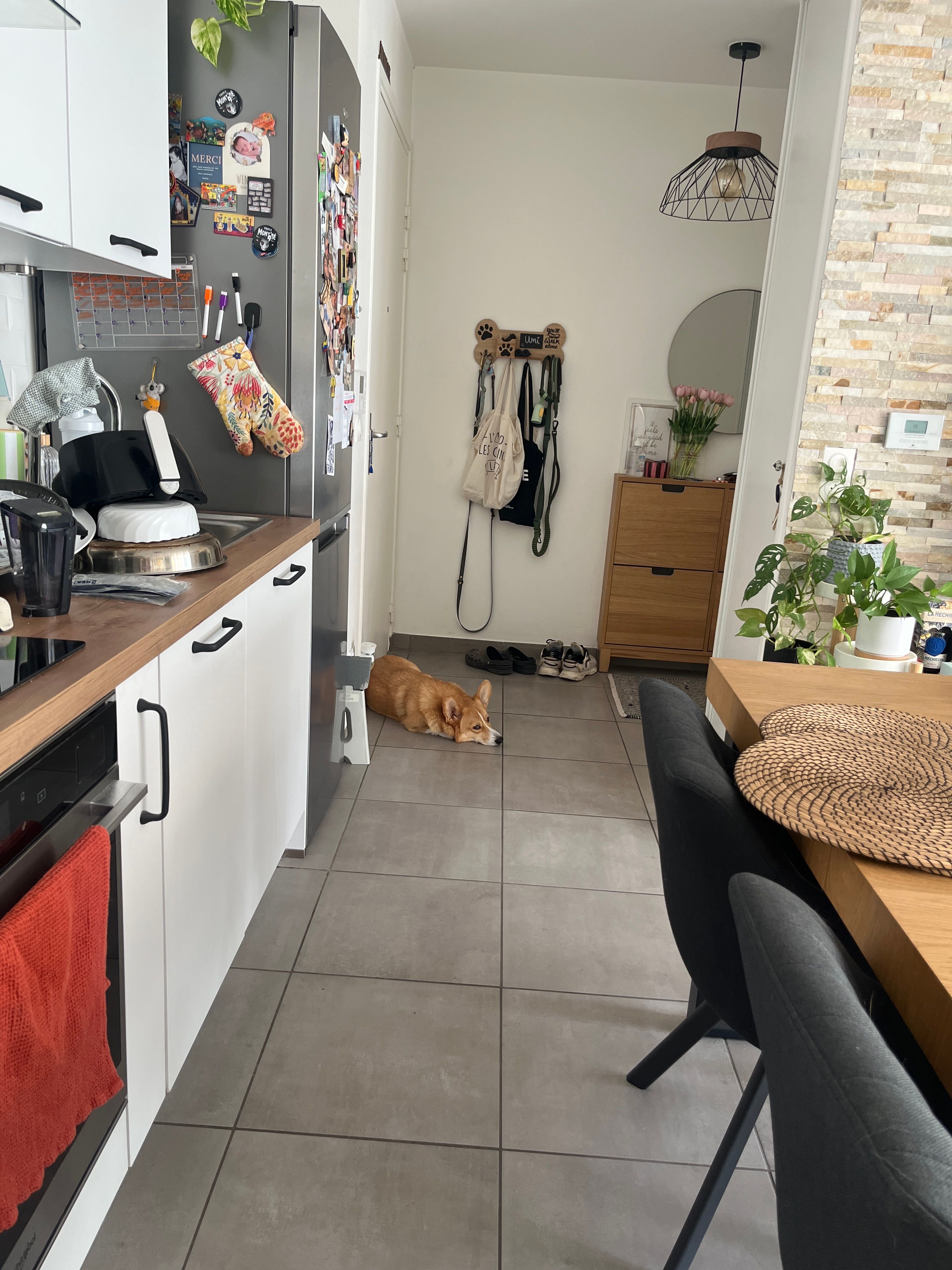 image-20
