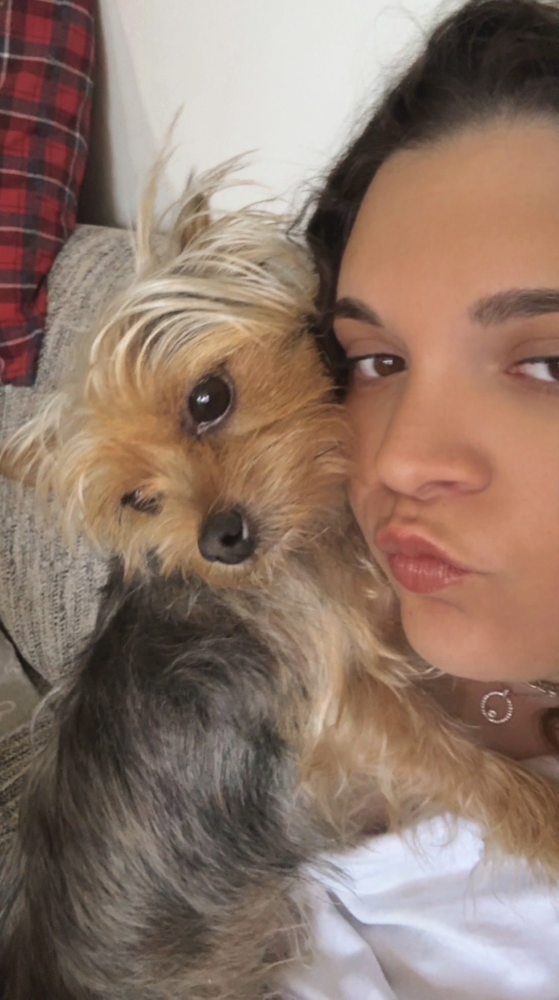 image-2