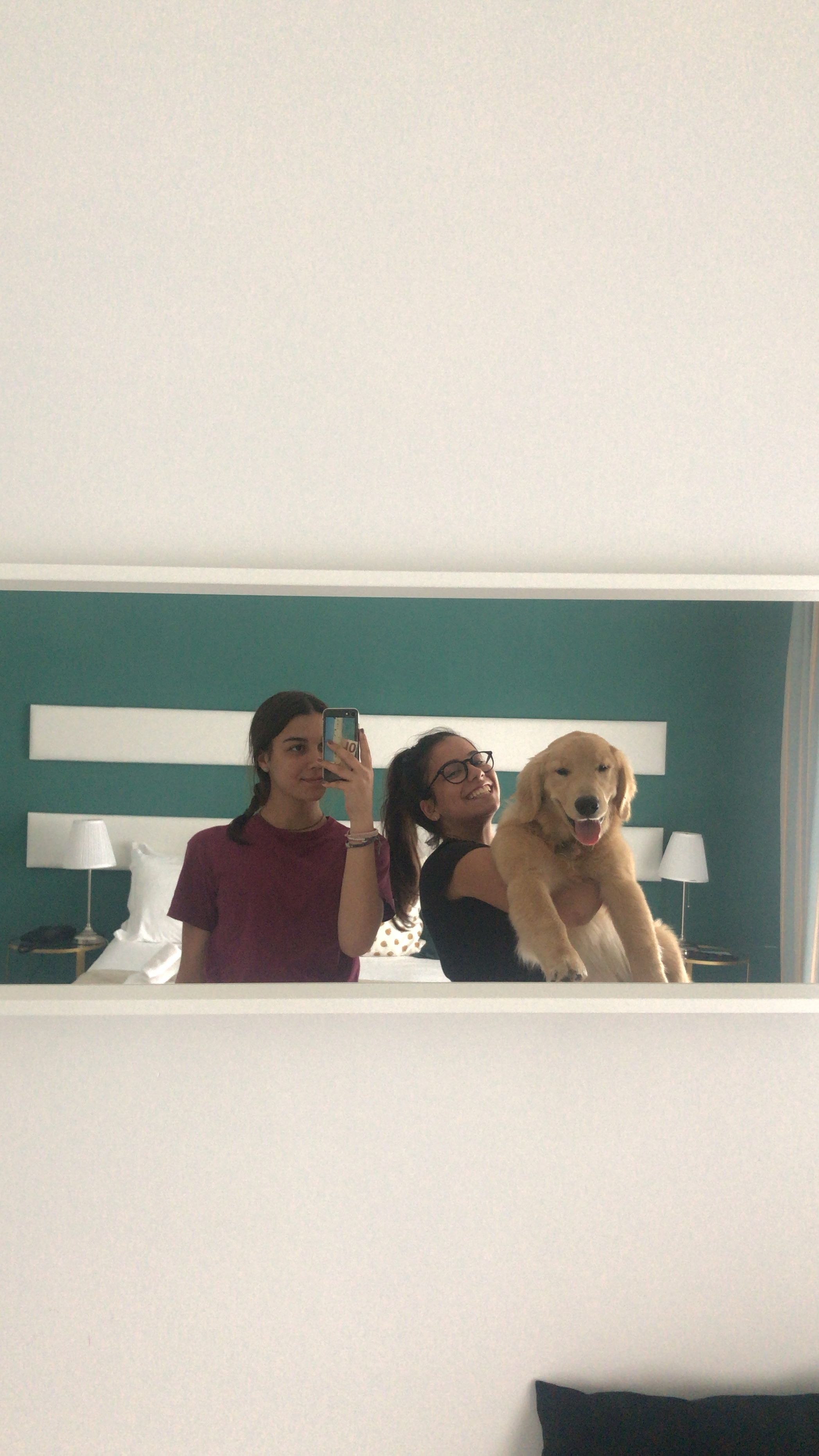 image-6