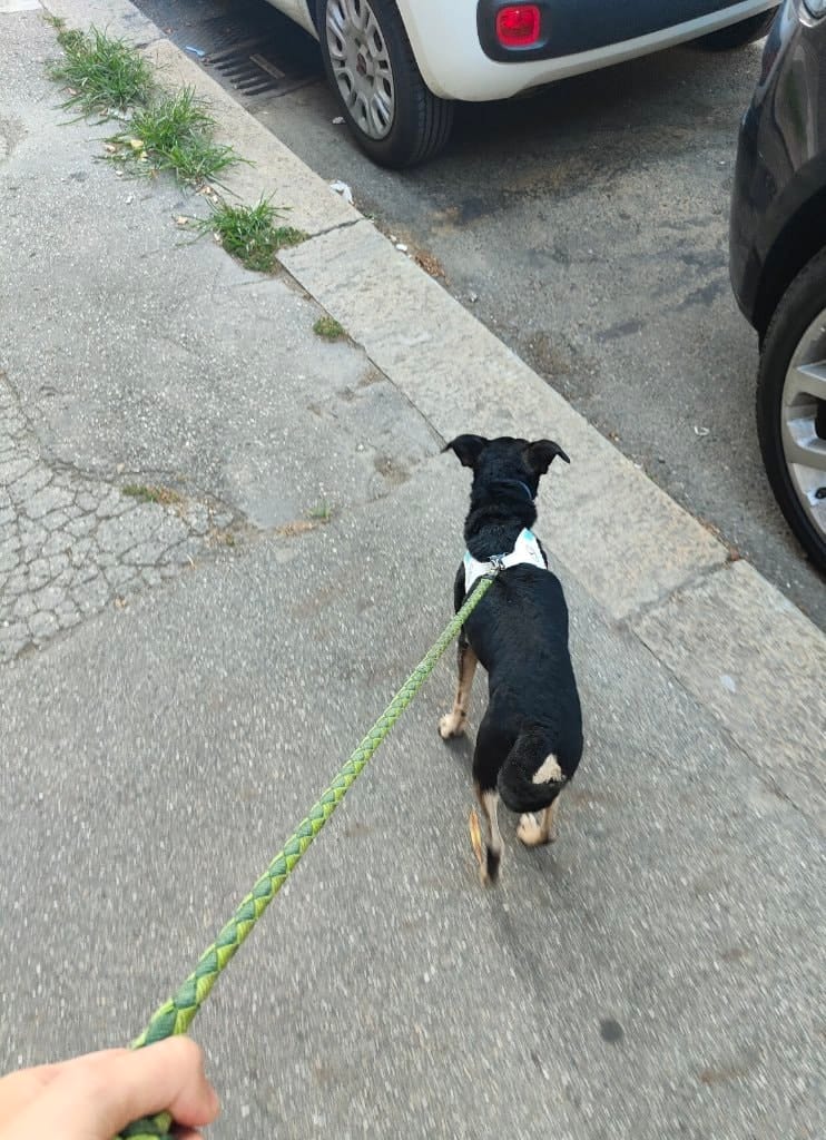 image-7