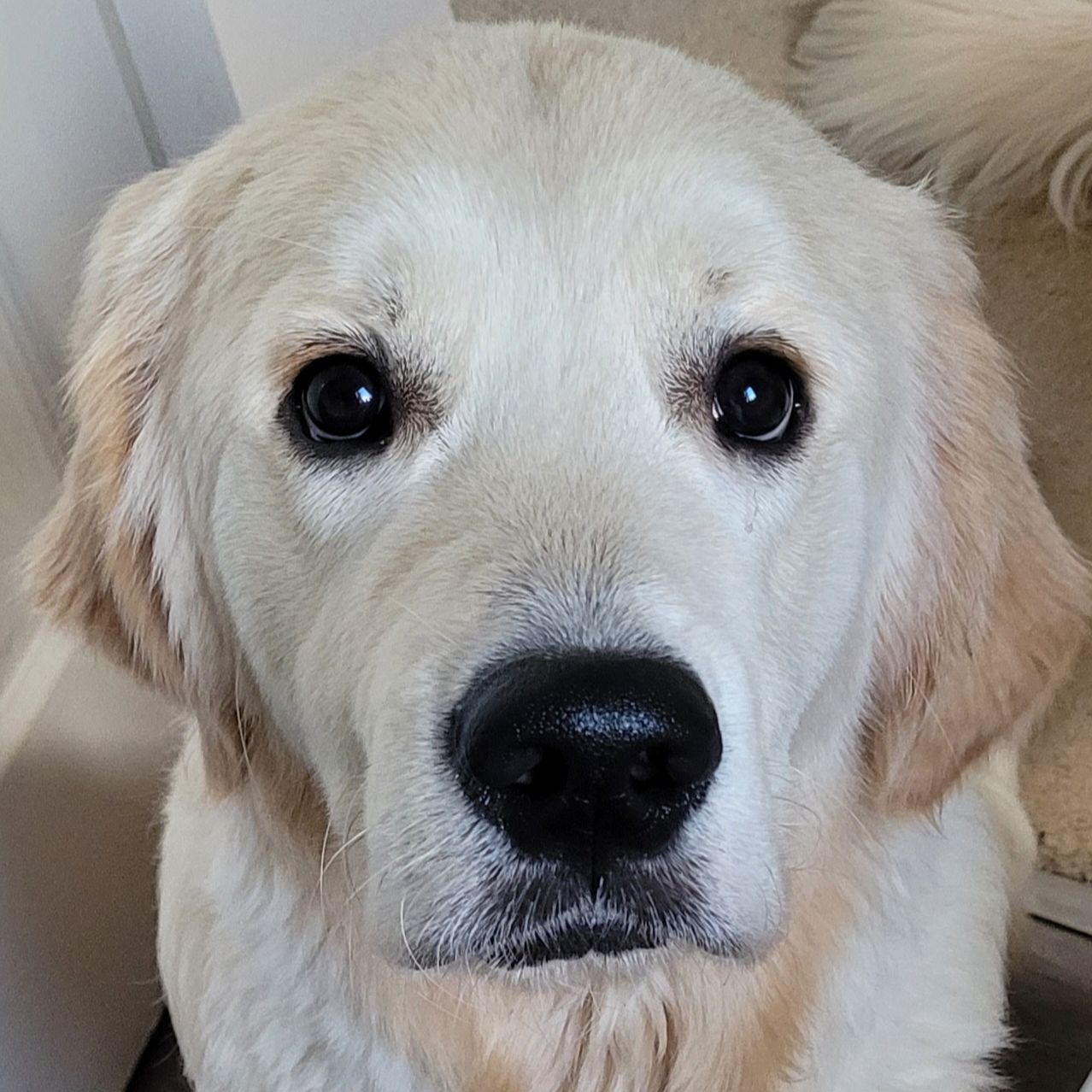 Walter