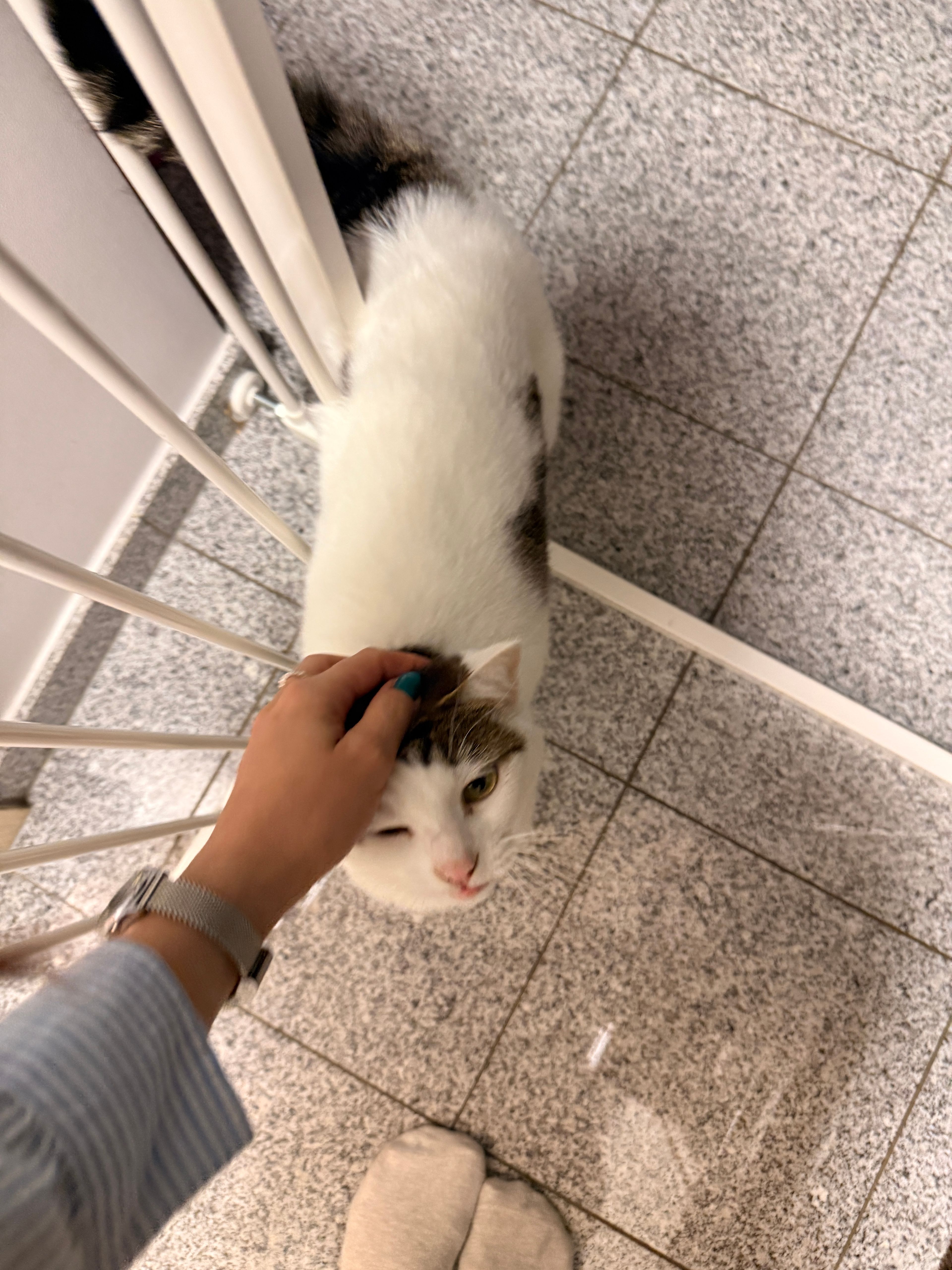 image-19