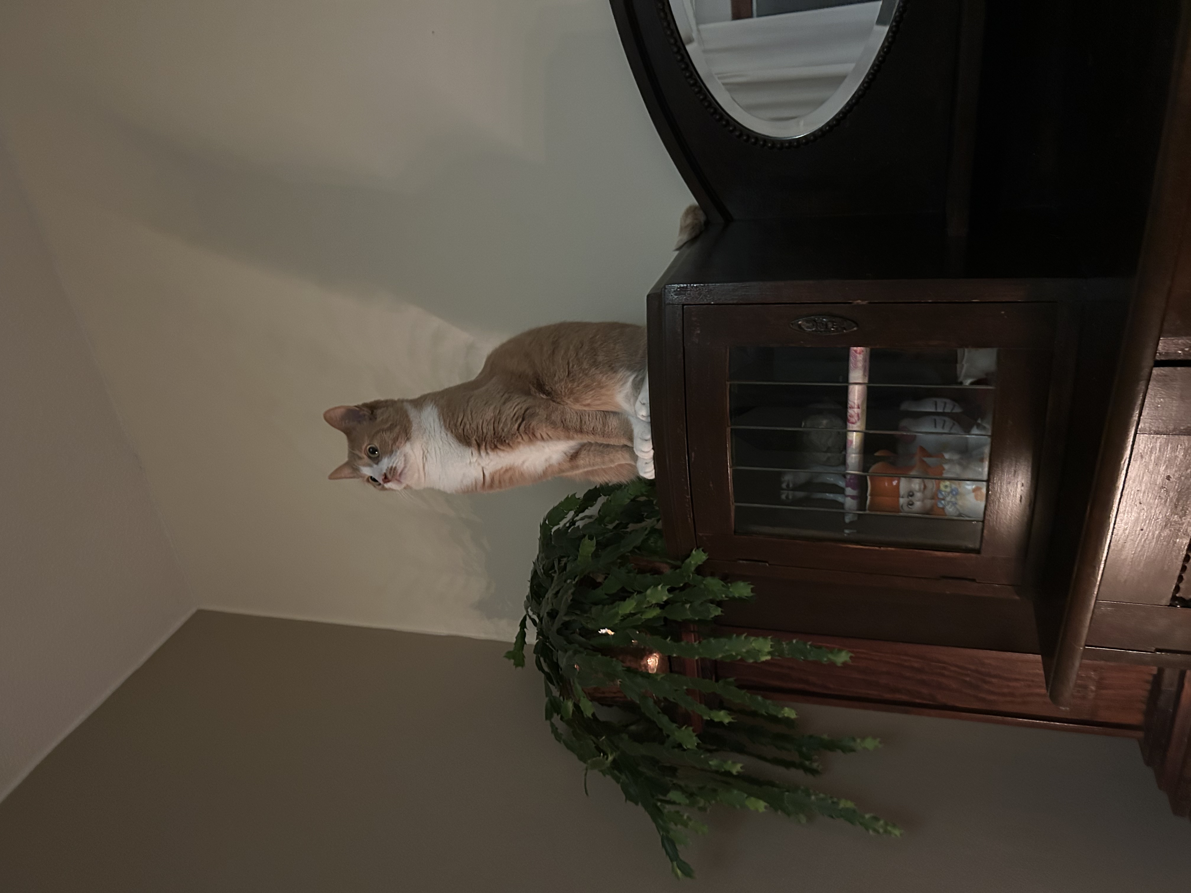 image-10