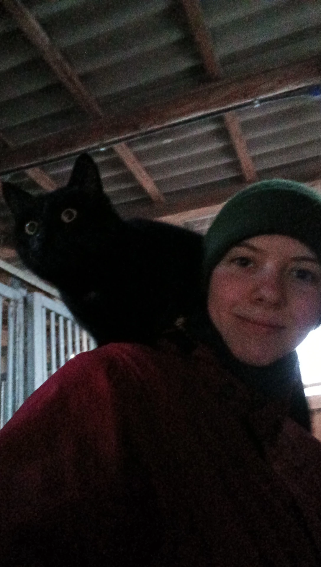image-7