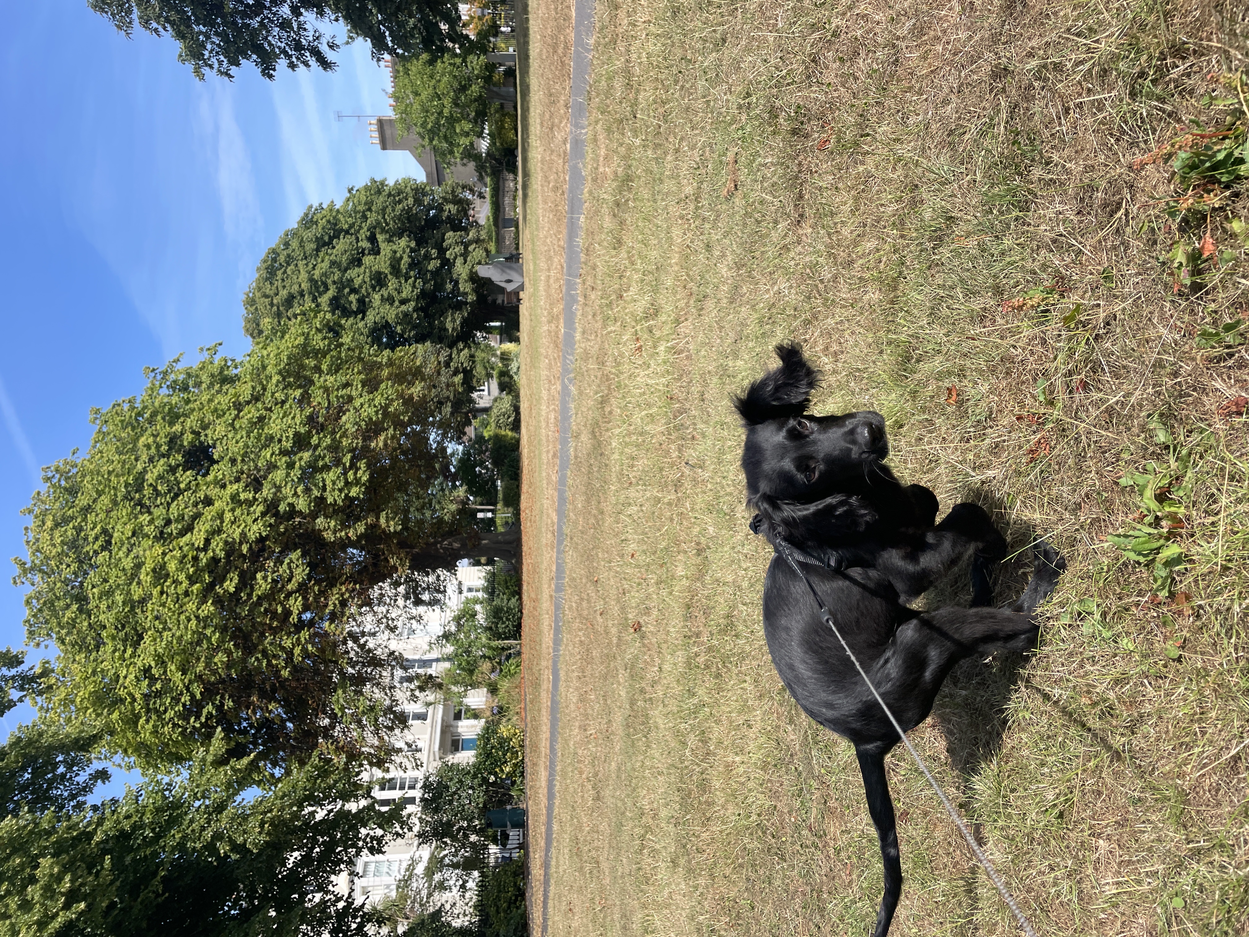 image-9