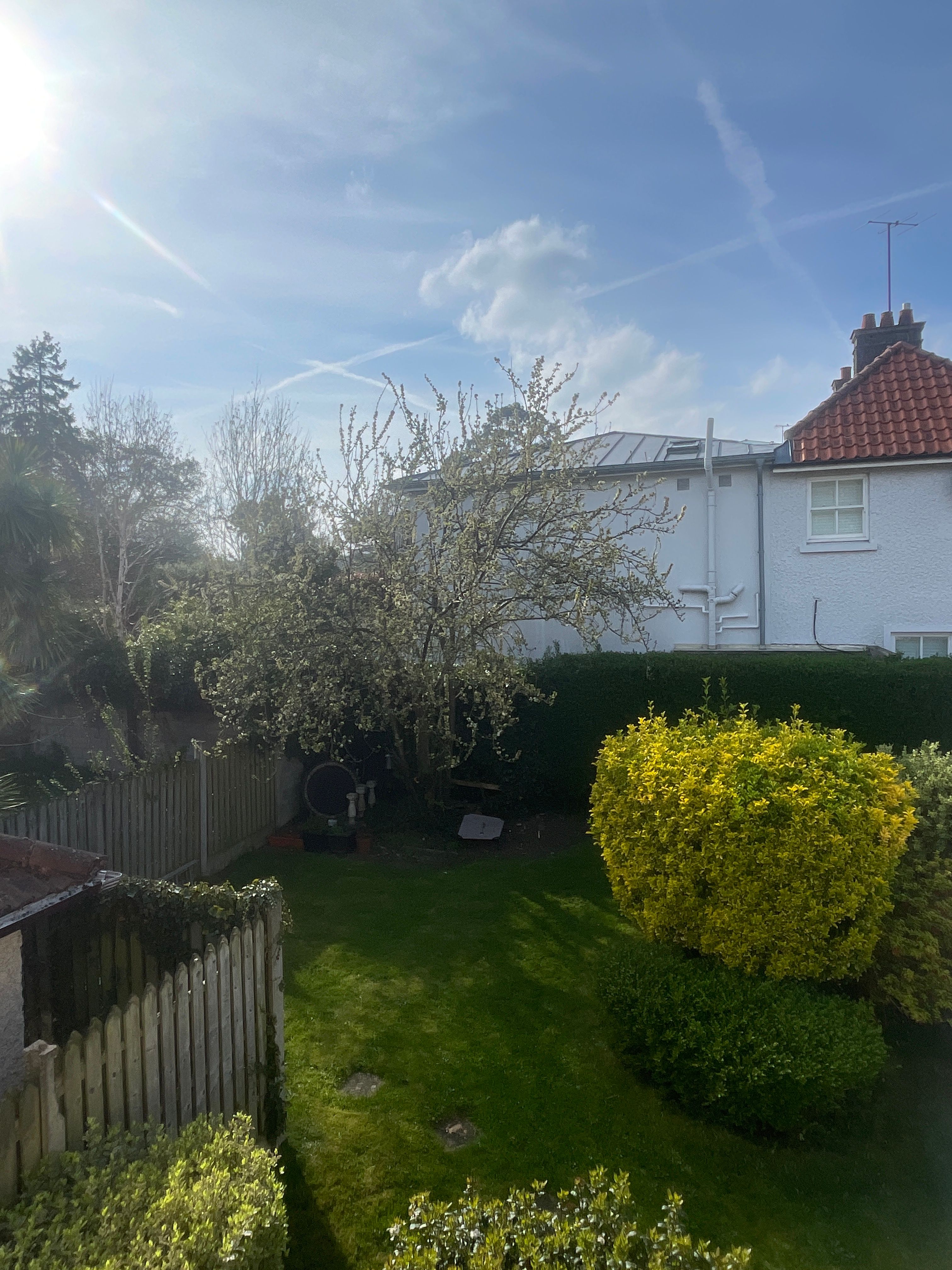 image-11