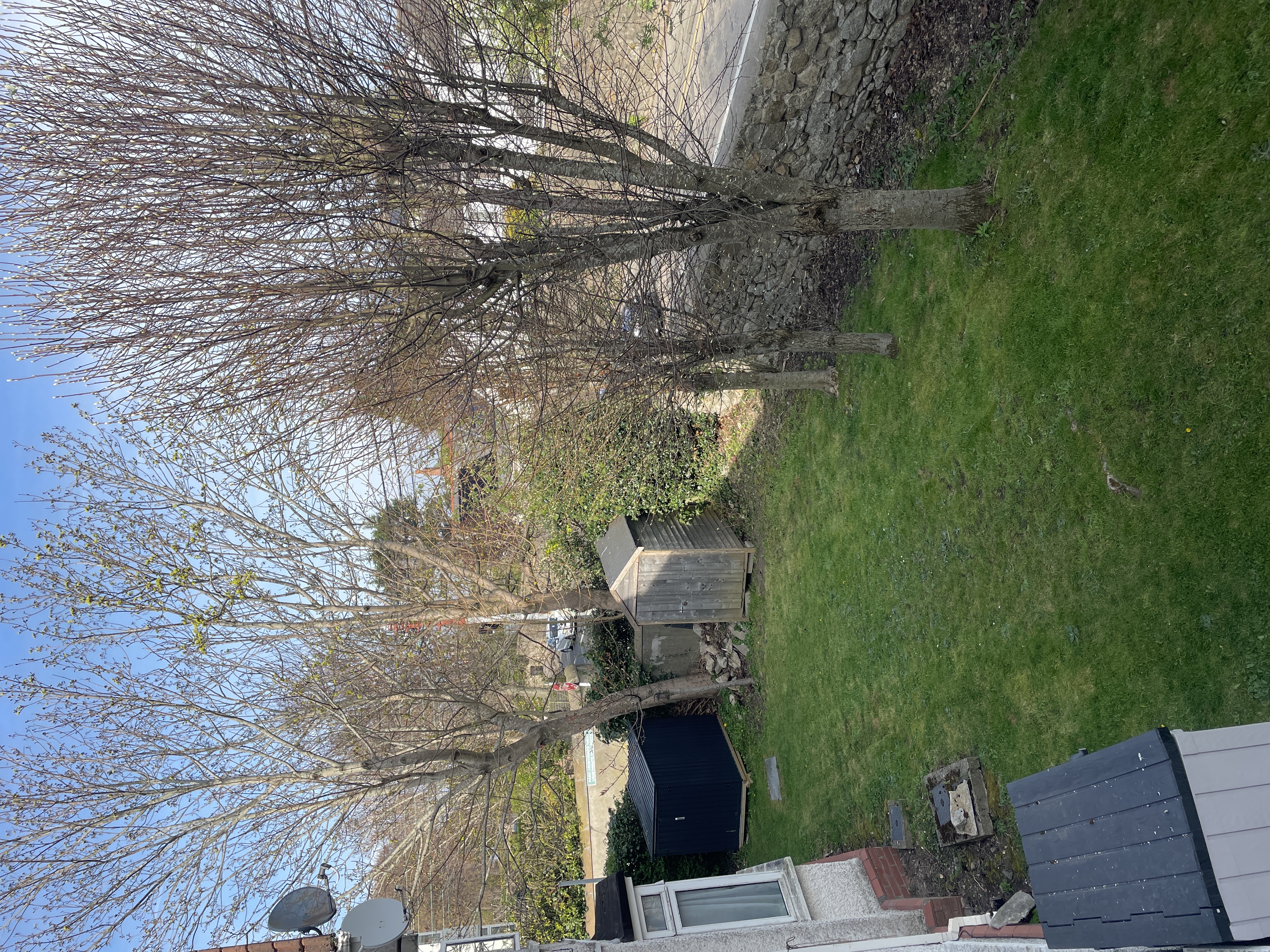 image-13