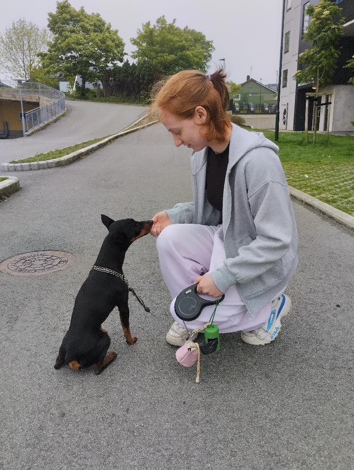 image-6