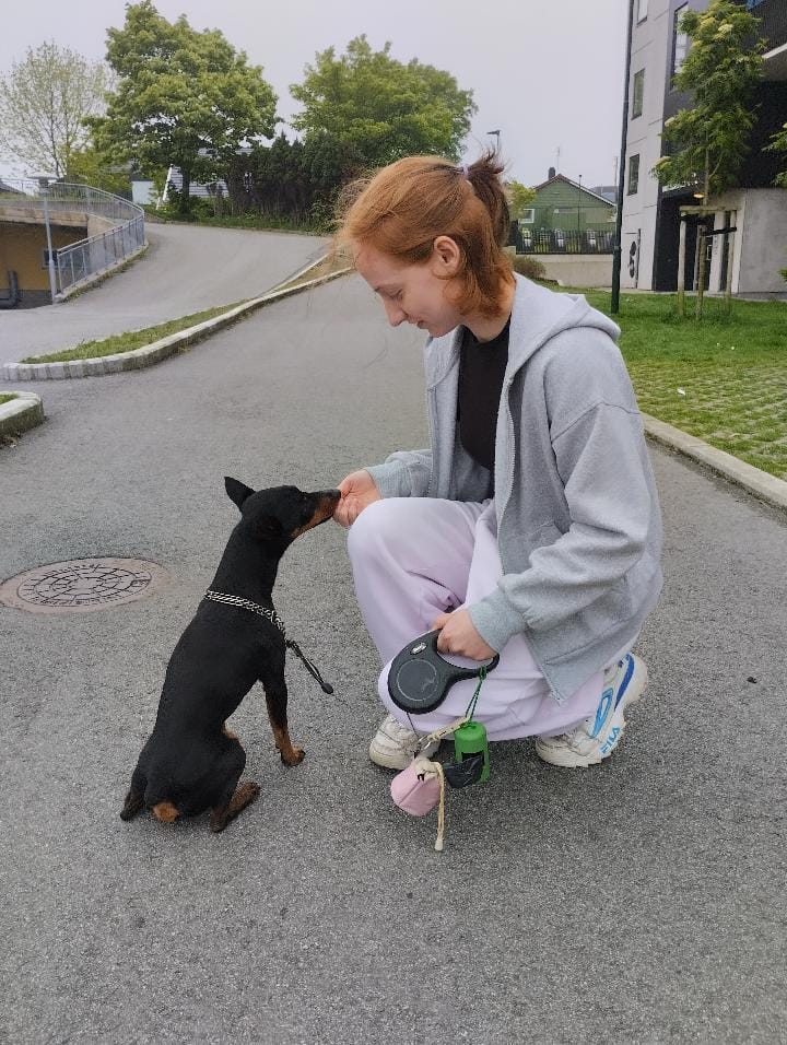image-6