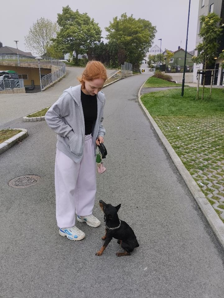 image-3