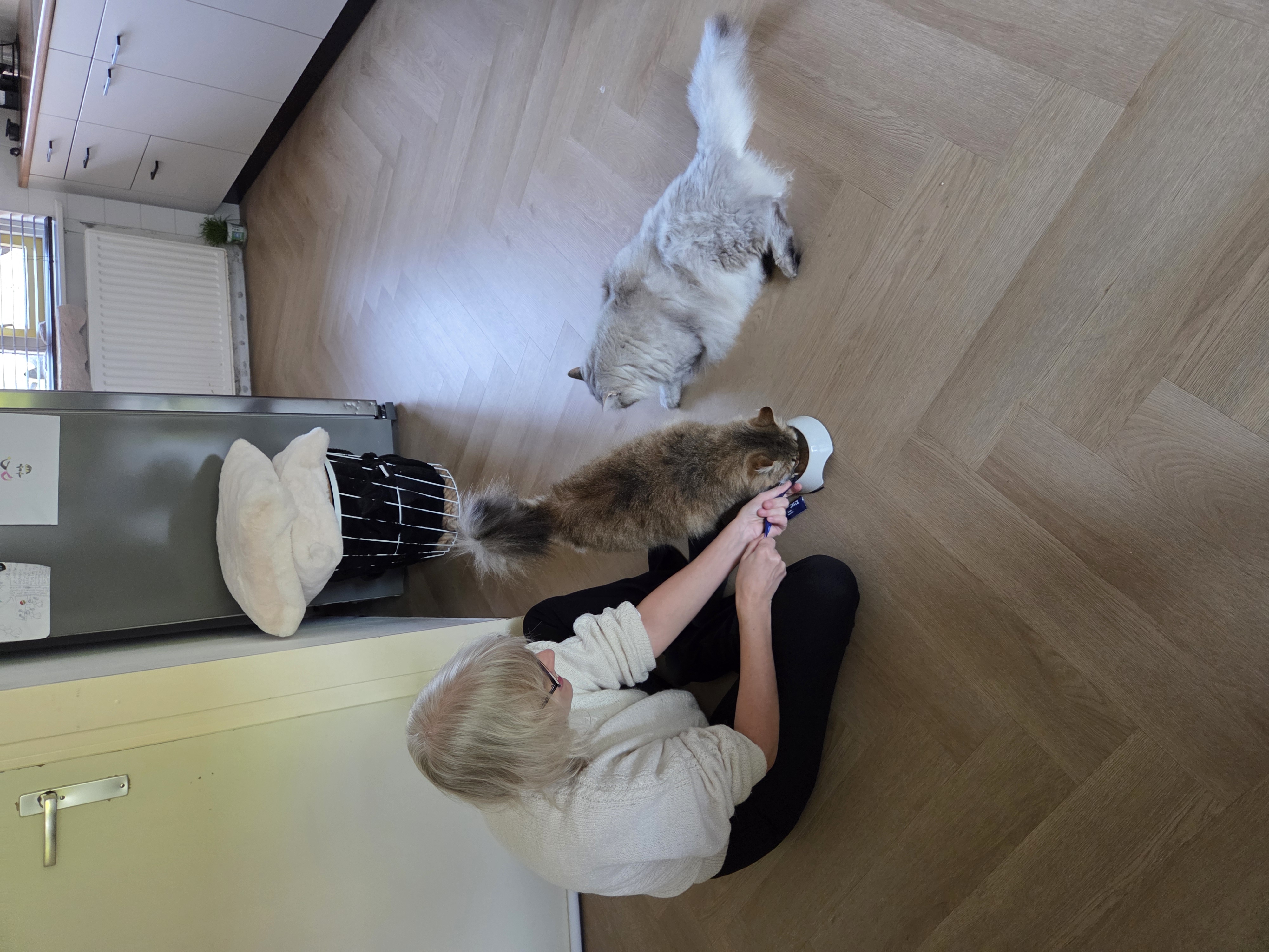 image-15