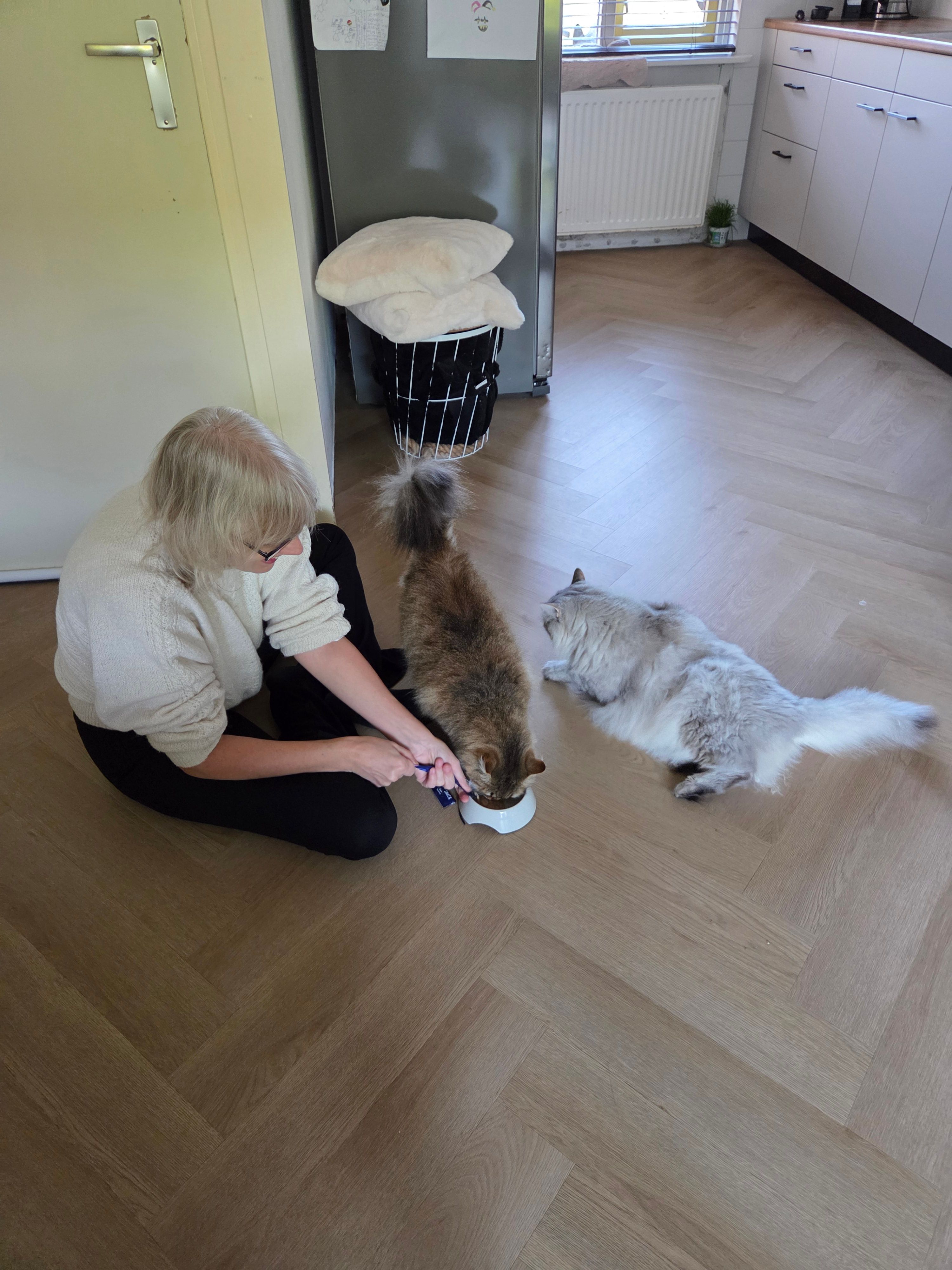 image-15