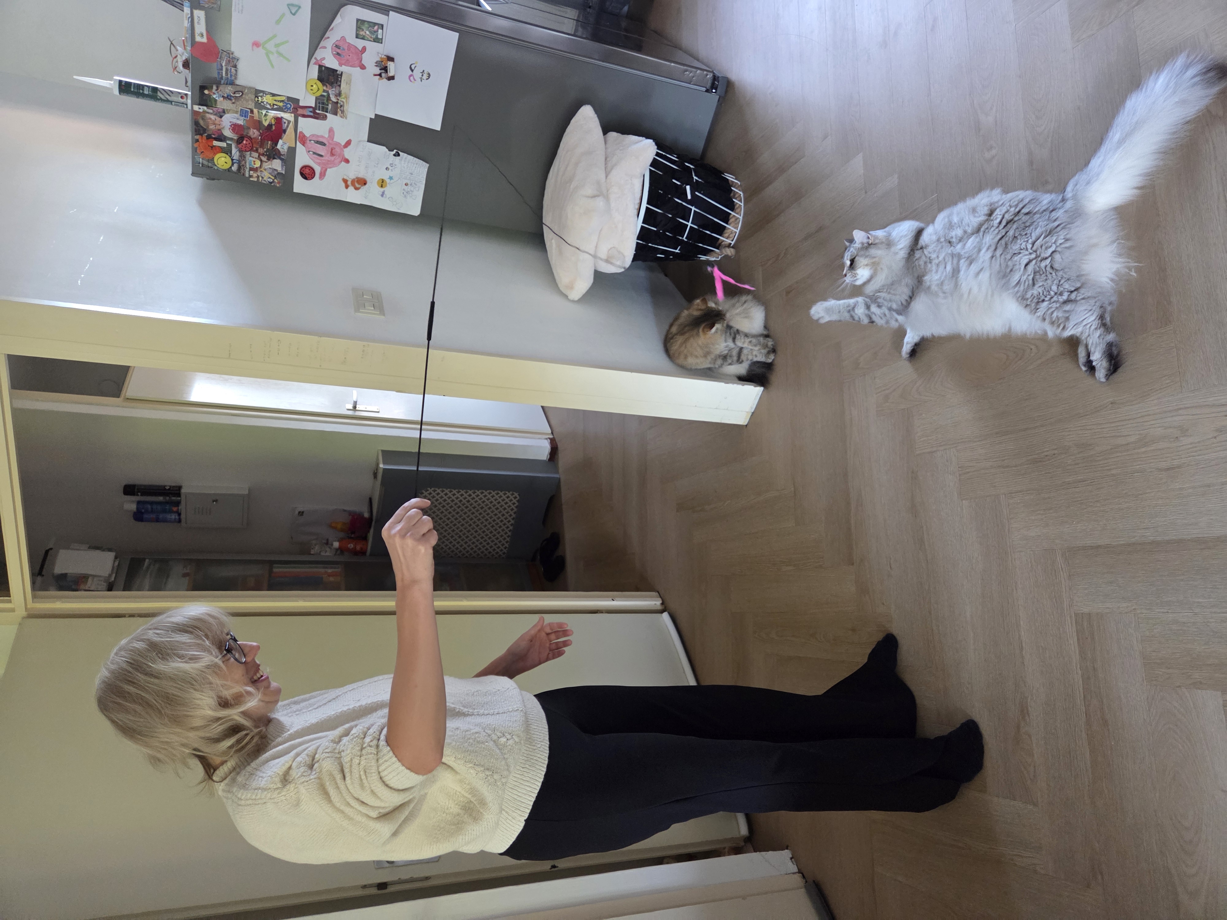 image-4