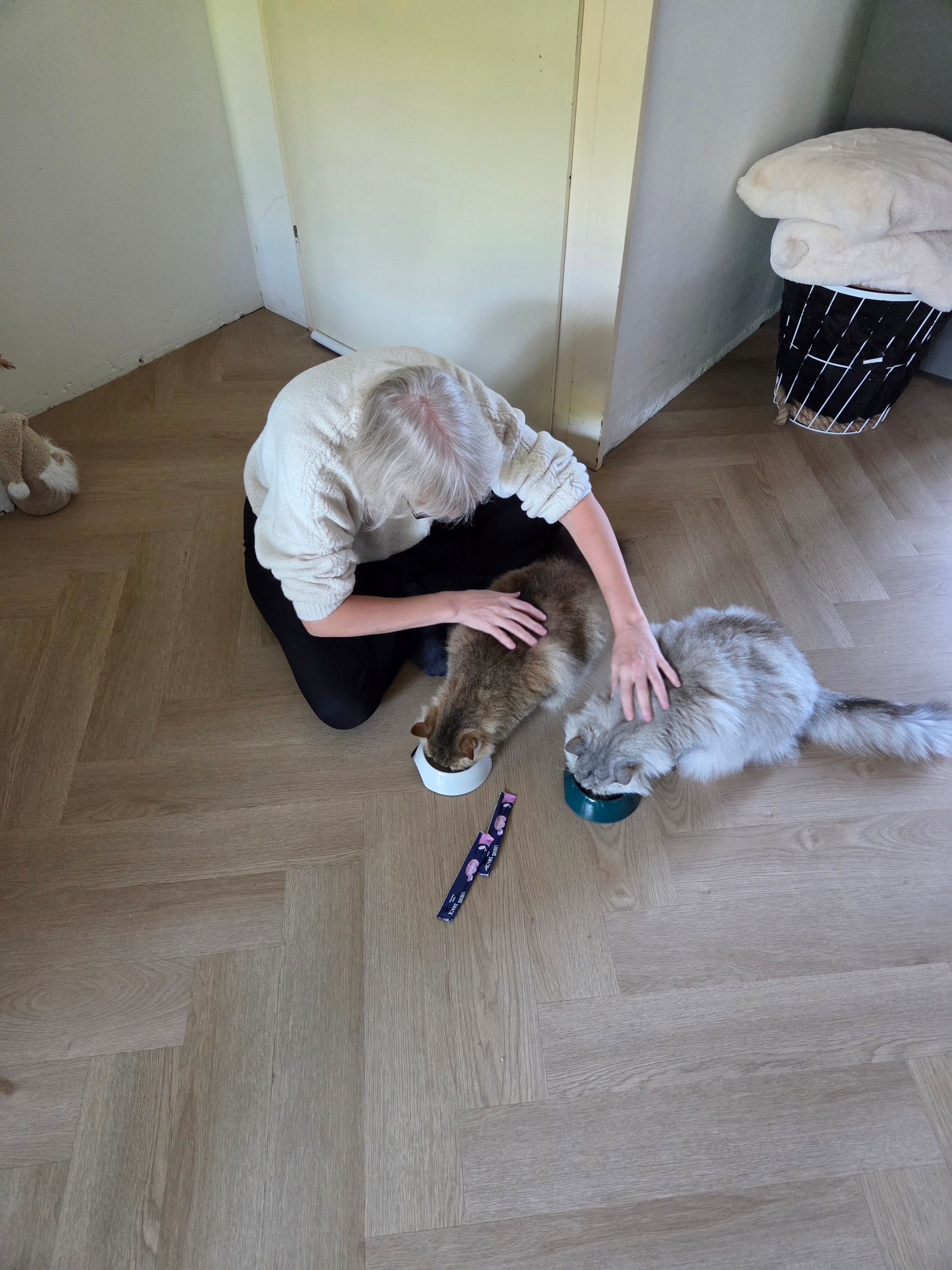 image-2