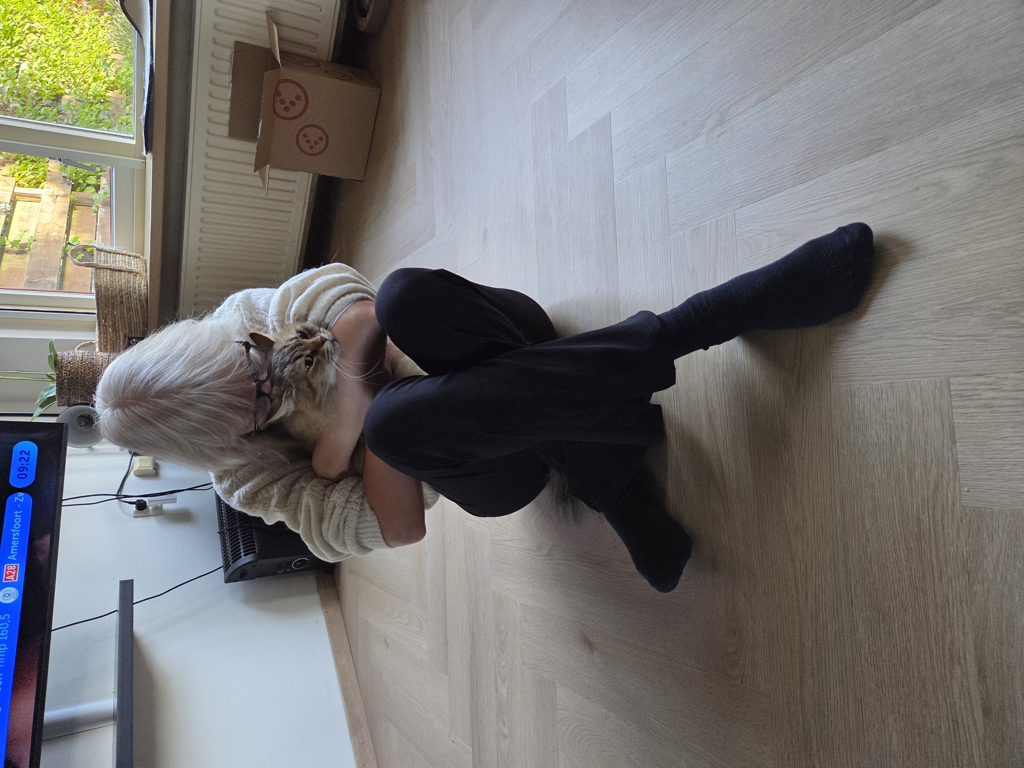 image-7