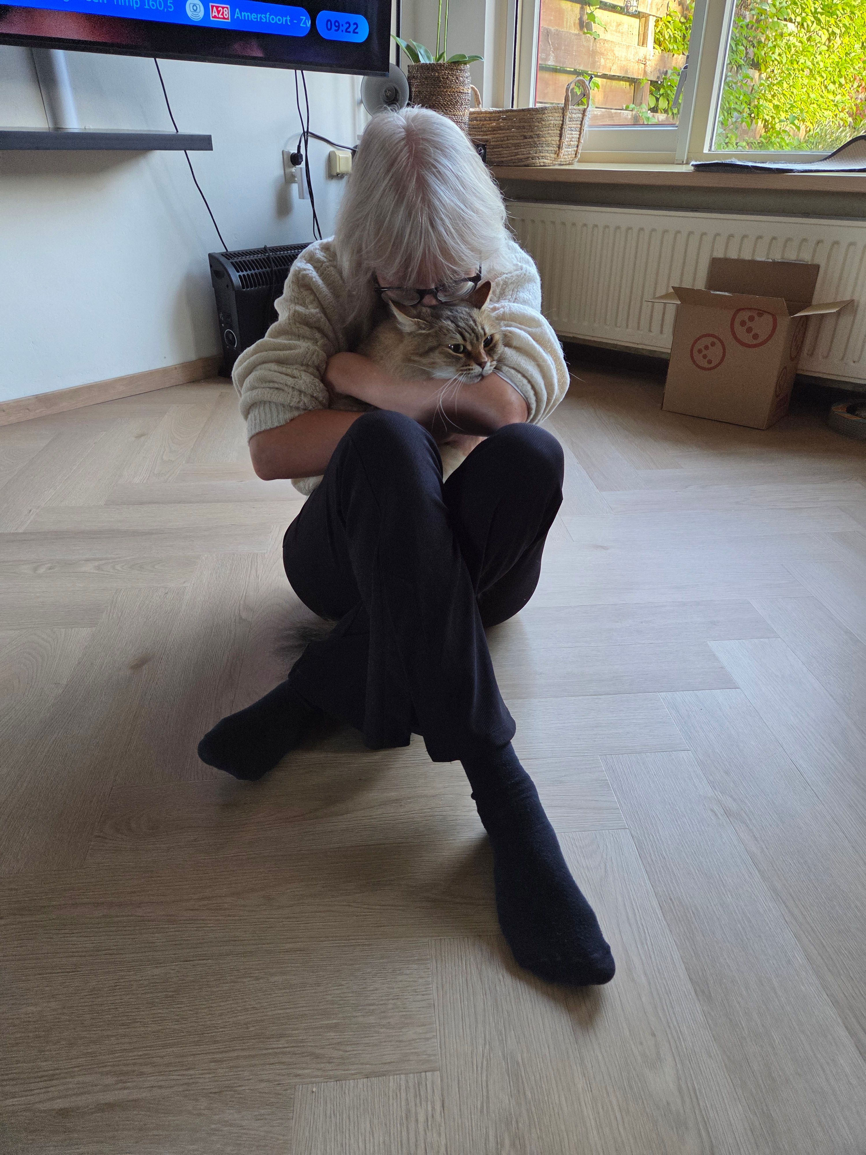 image-7