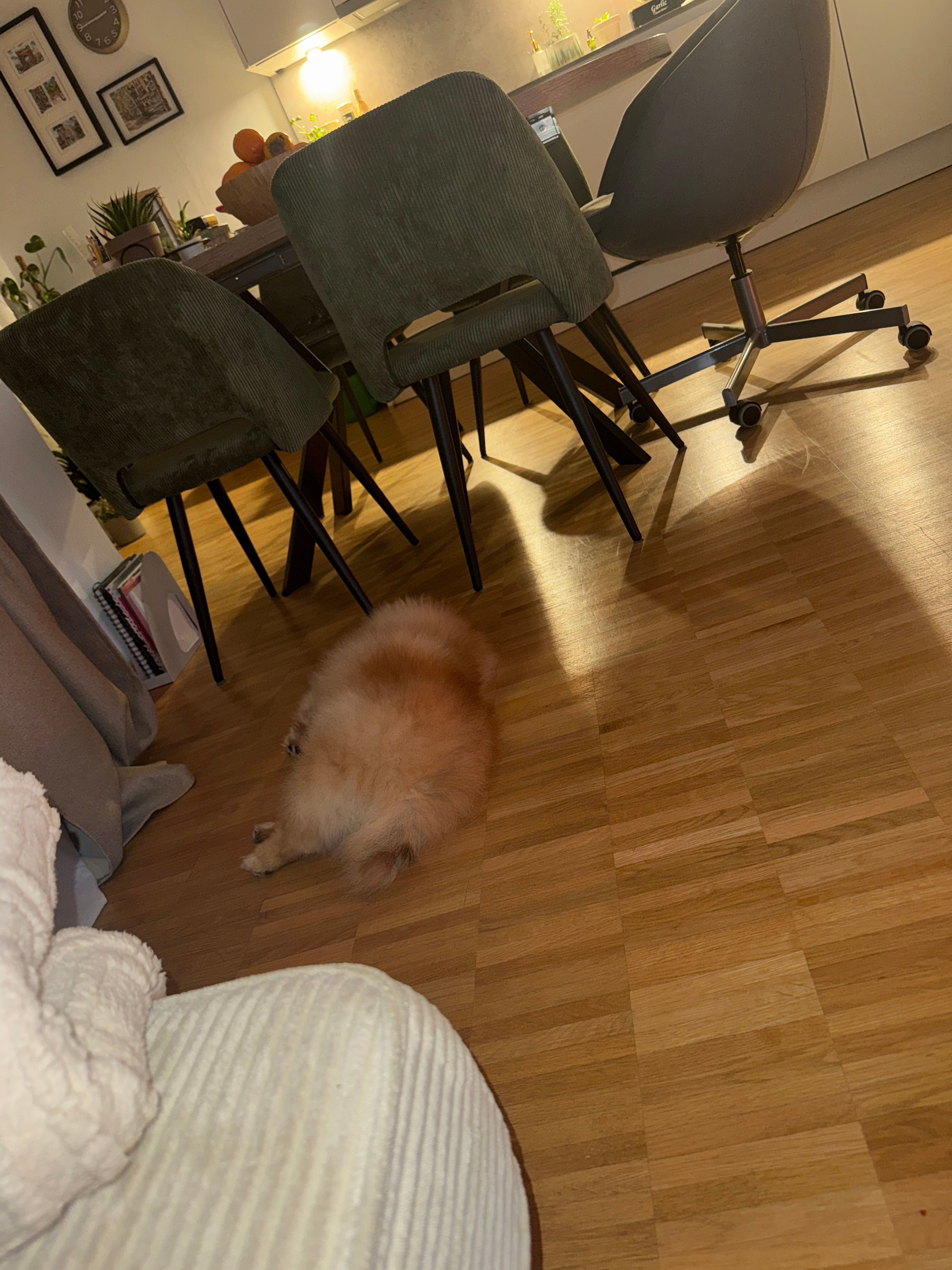 image-23