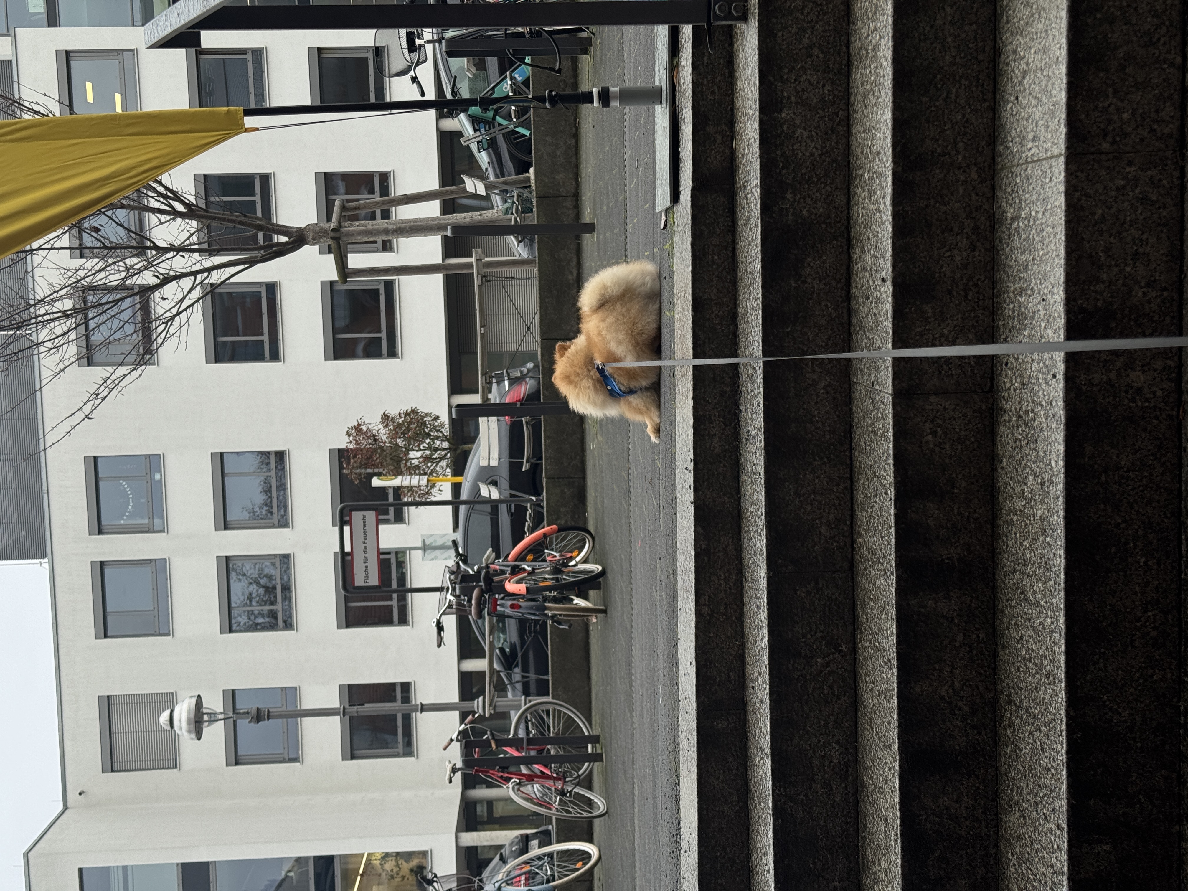 image-14