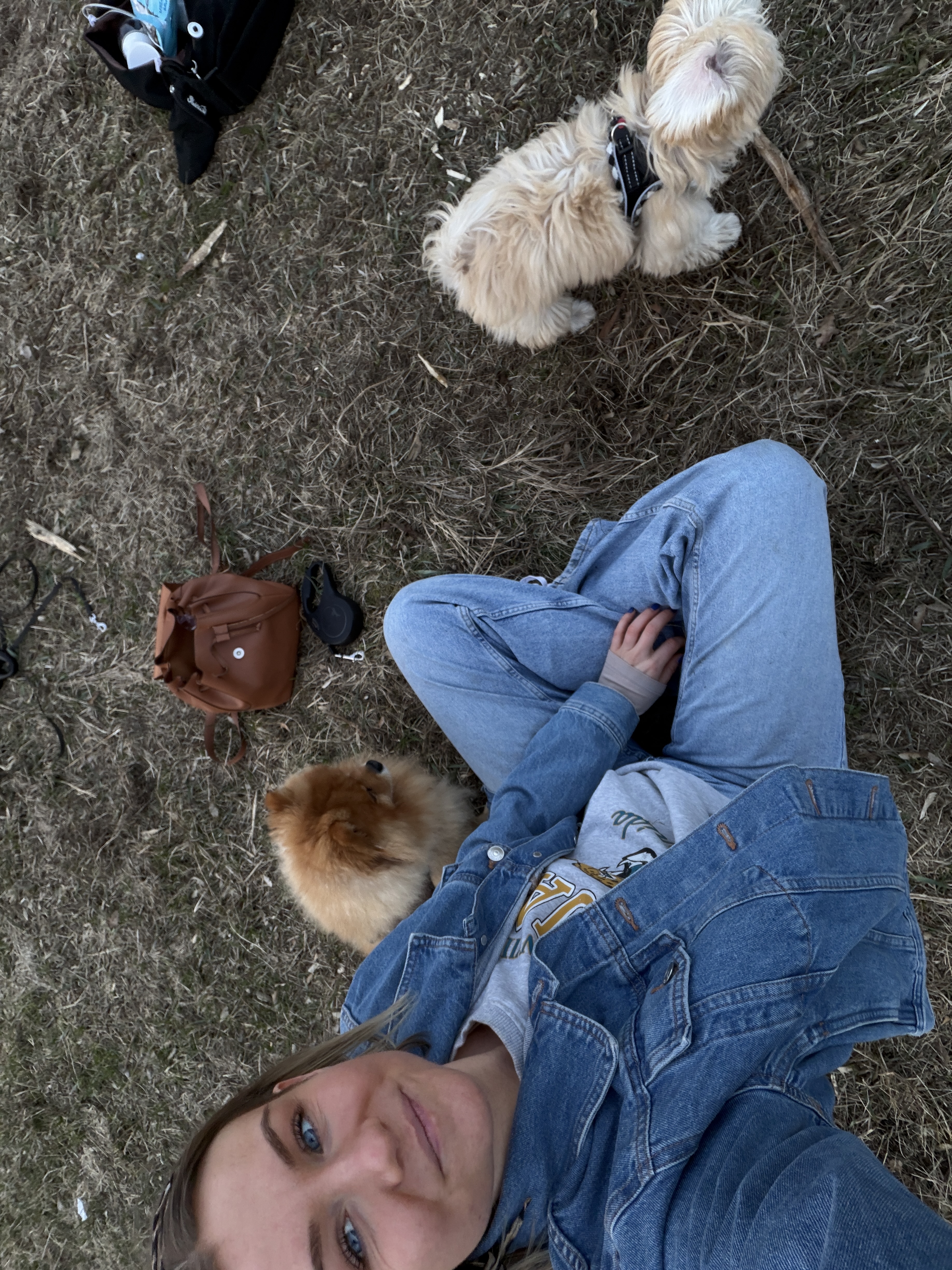 image-4