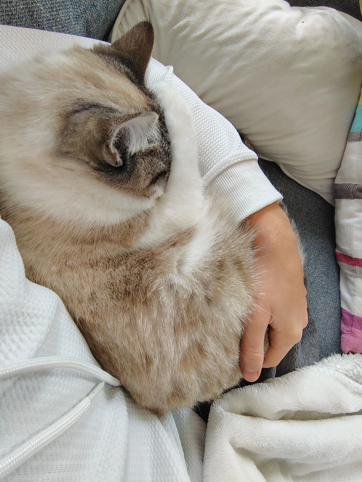 image-5