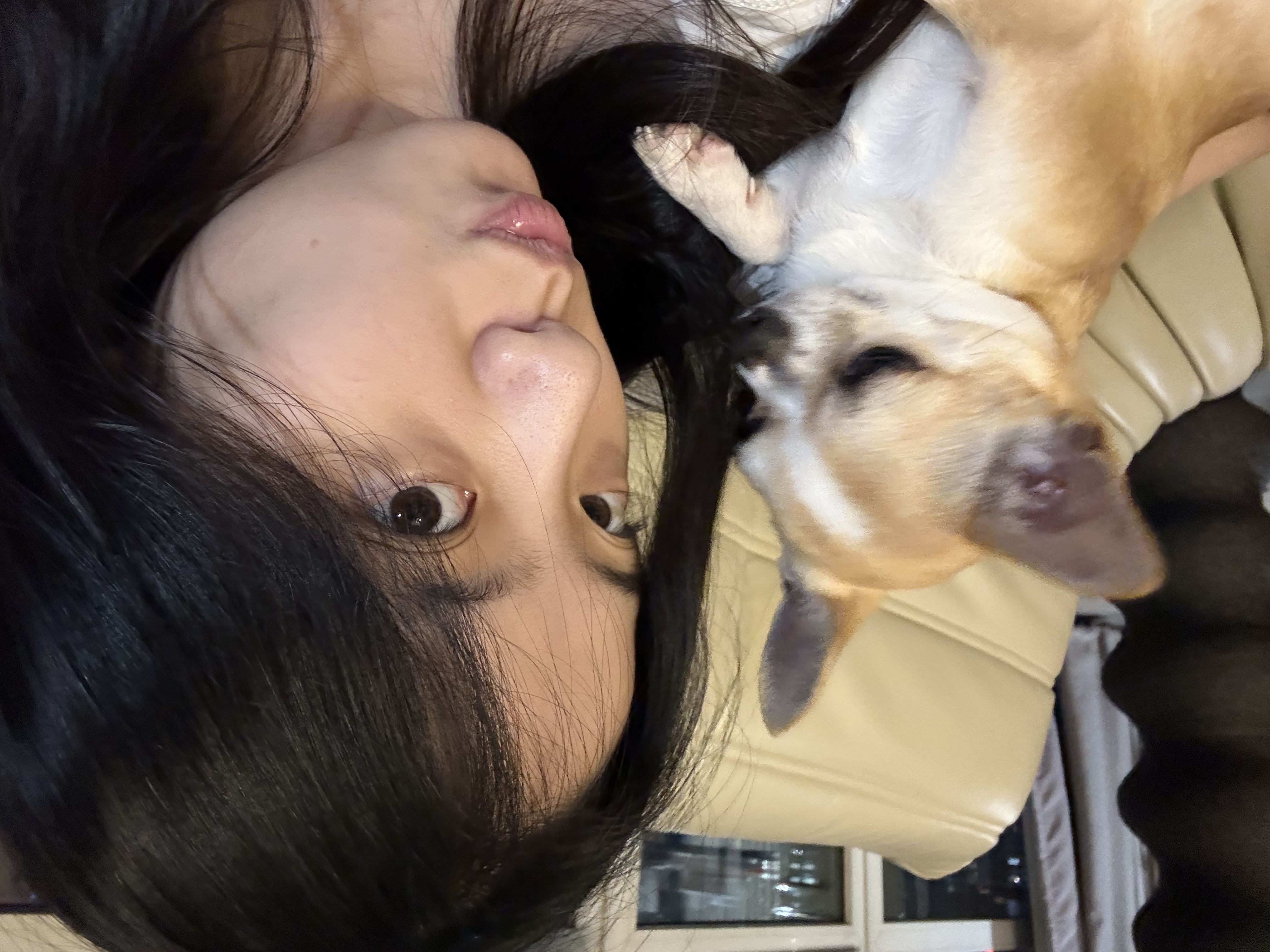 image-5