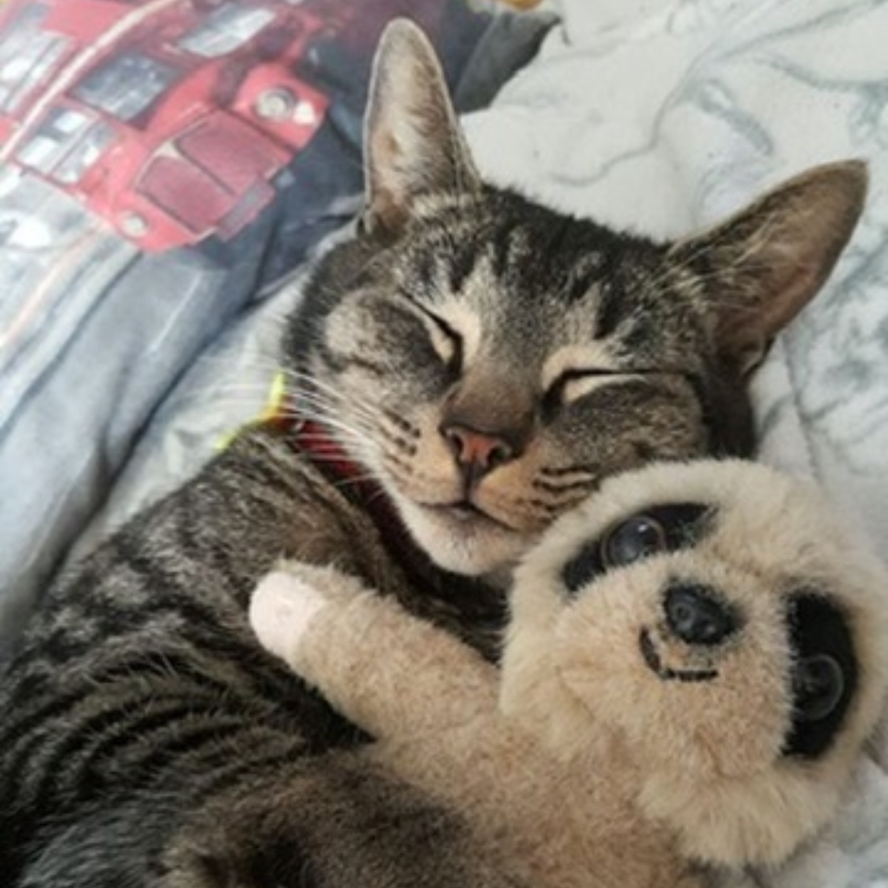 Simba