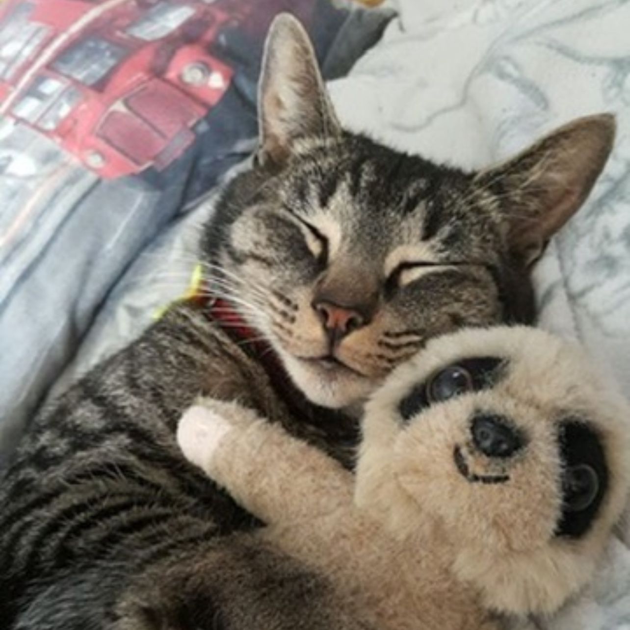 Simba