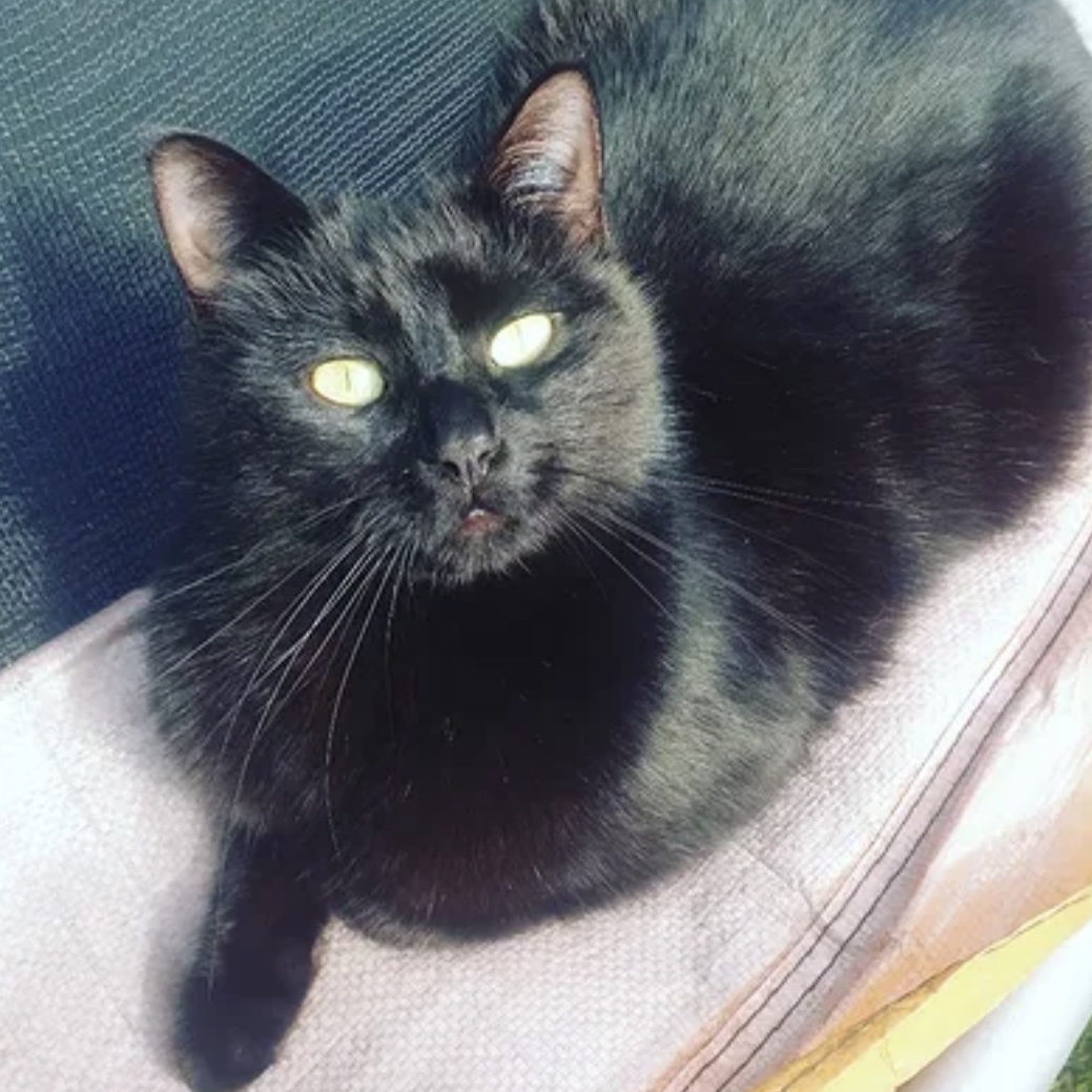 Matilda
