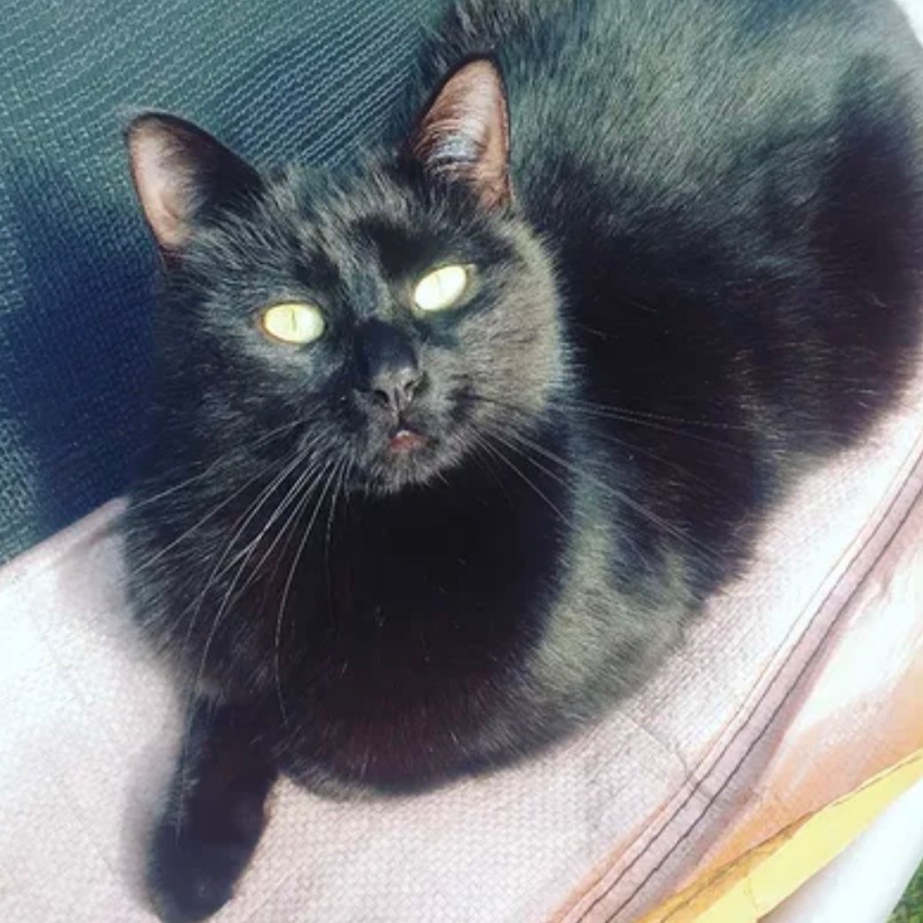 Matilda