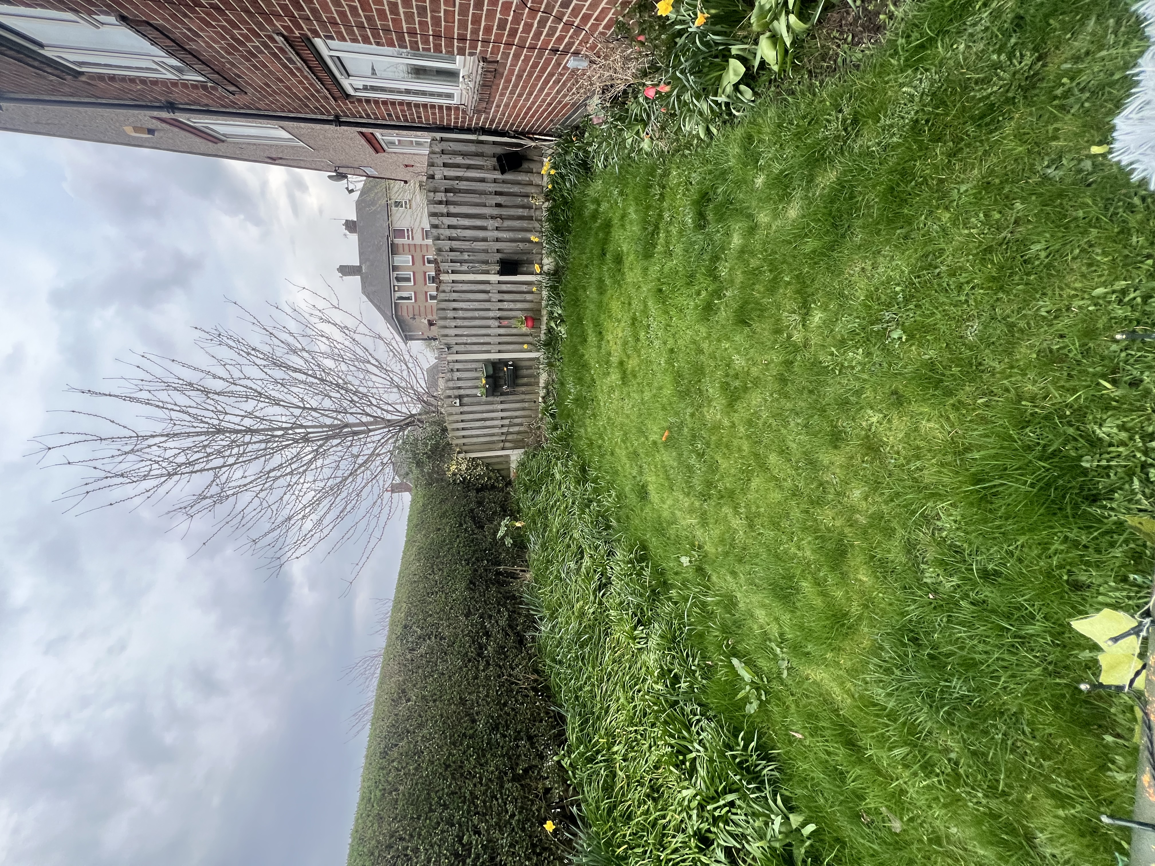 image-20