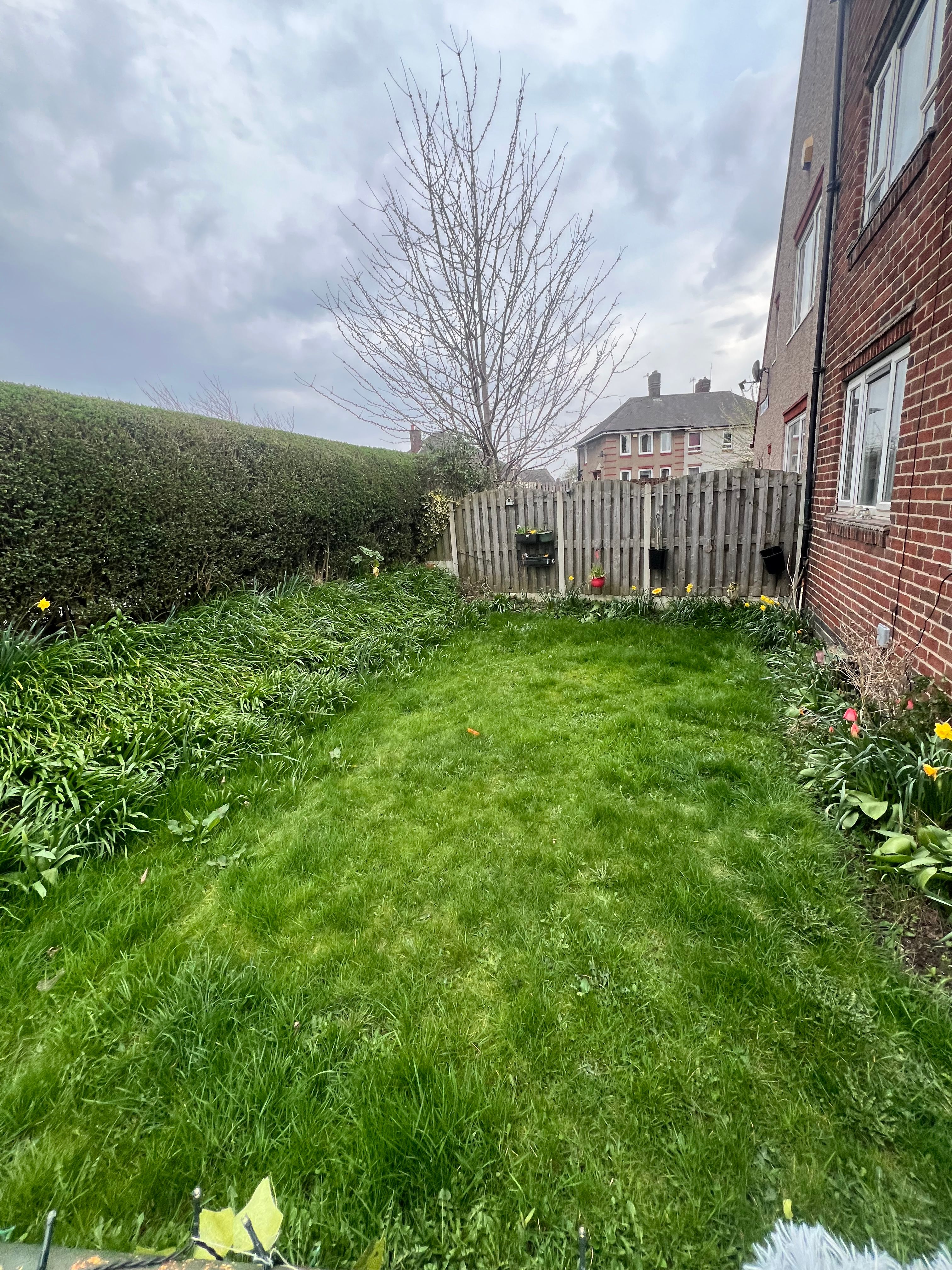 image-20