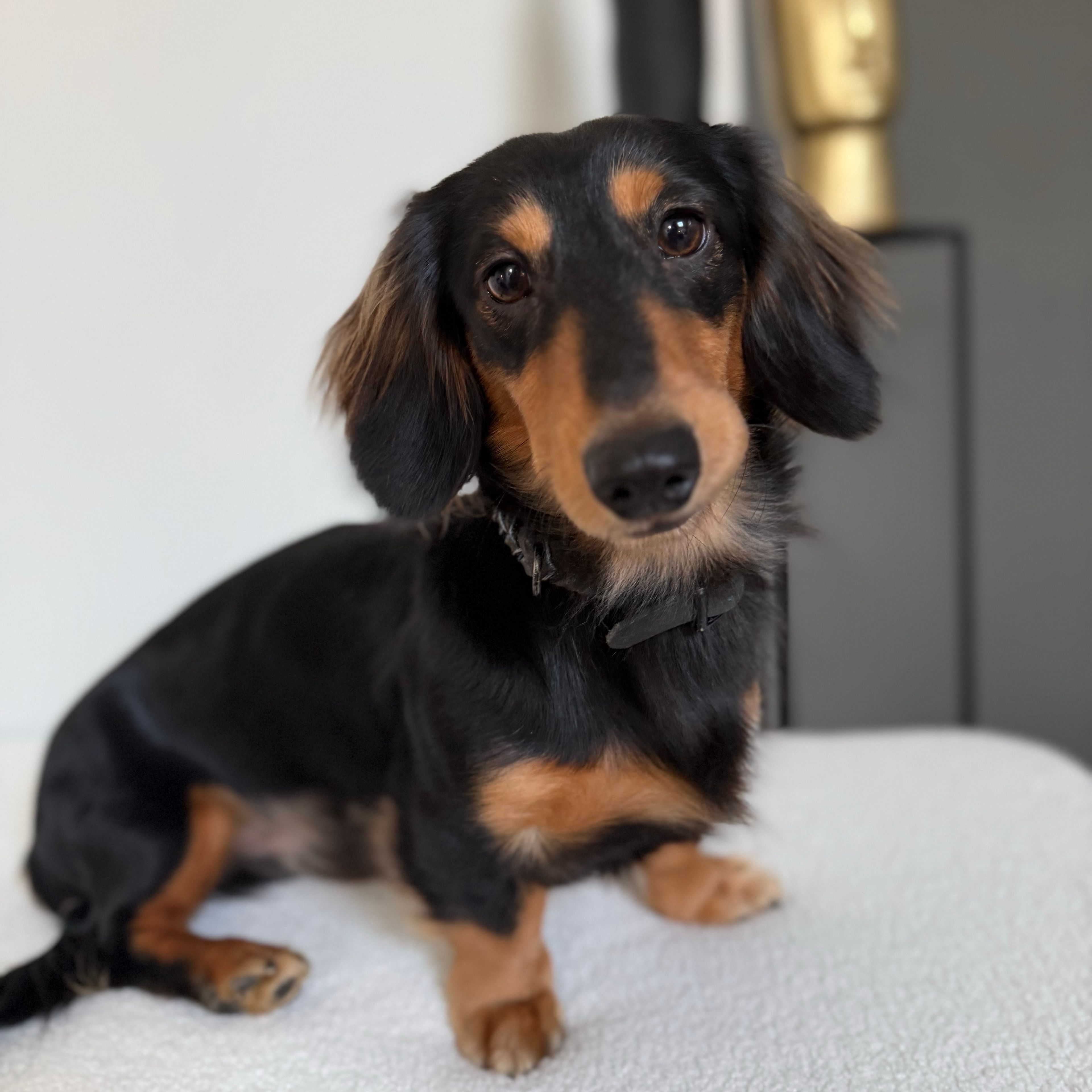 Otis