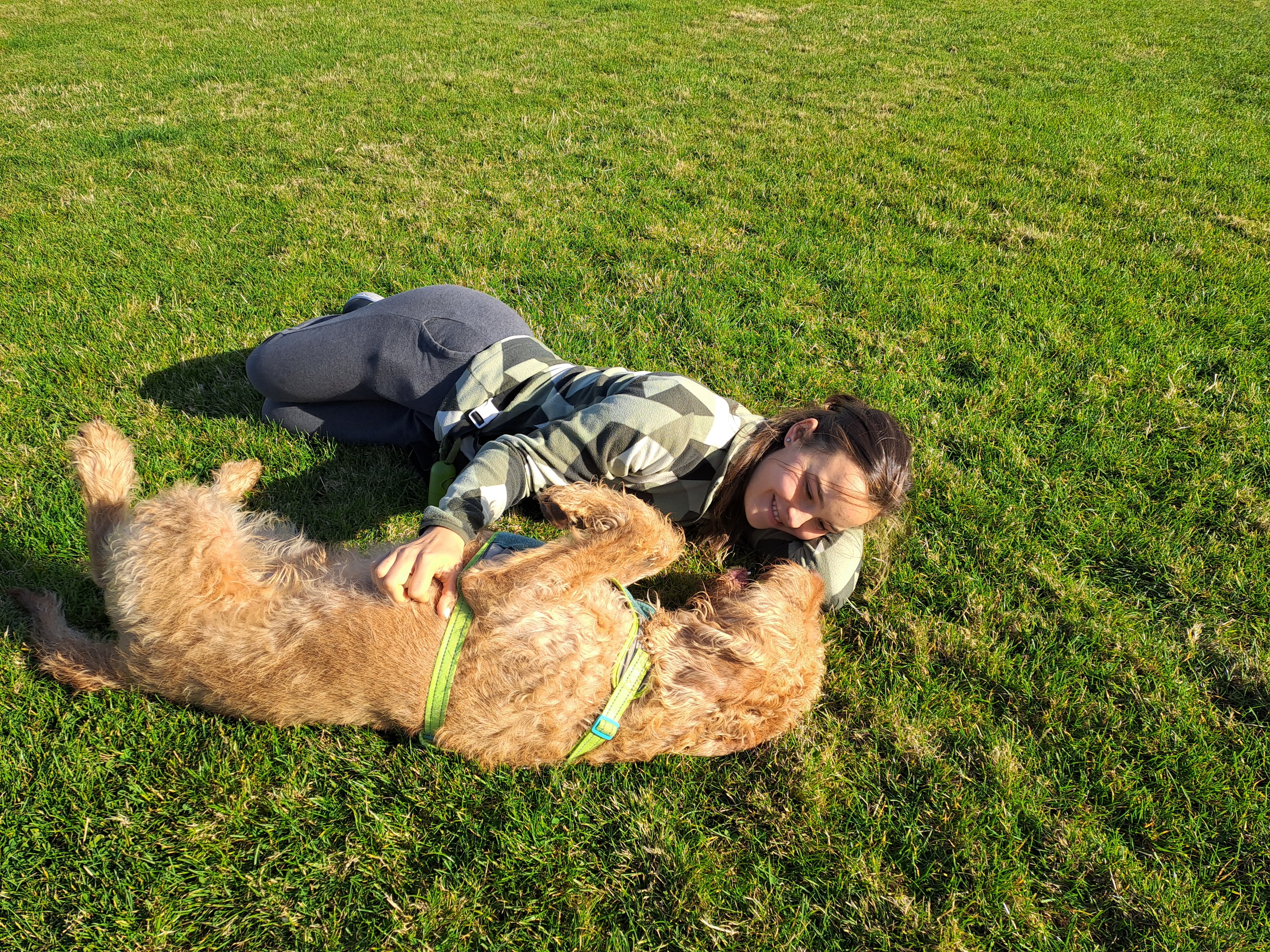 image-7