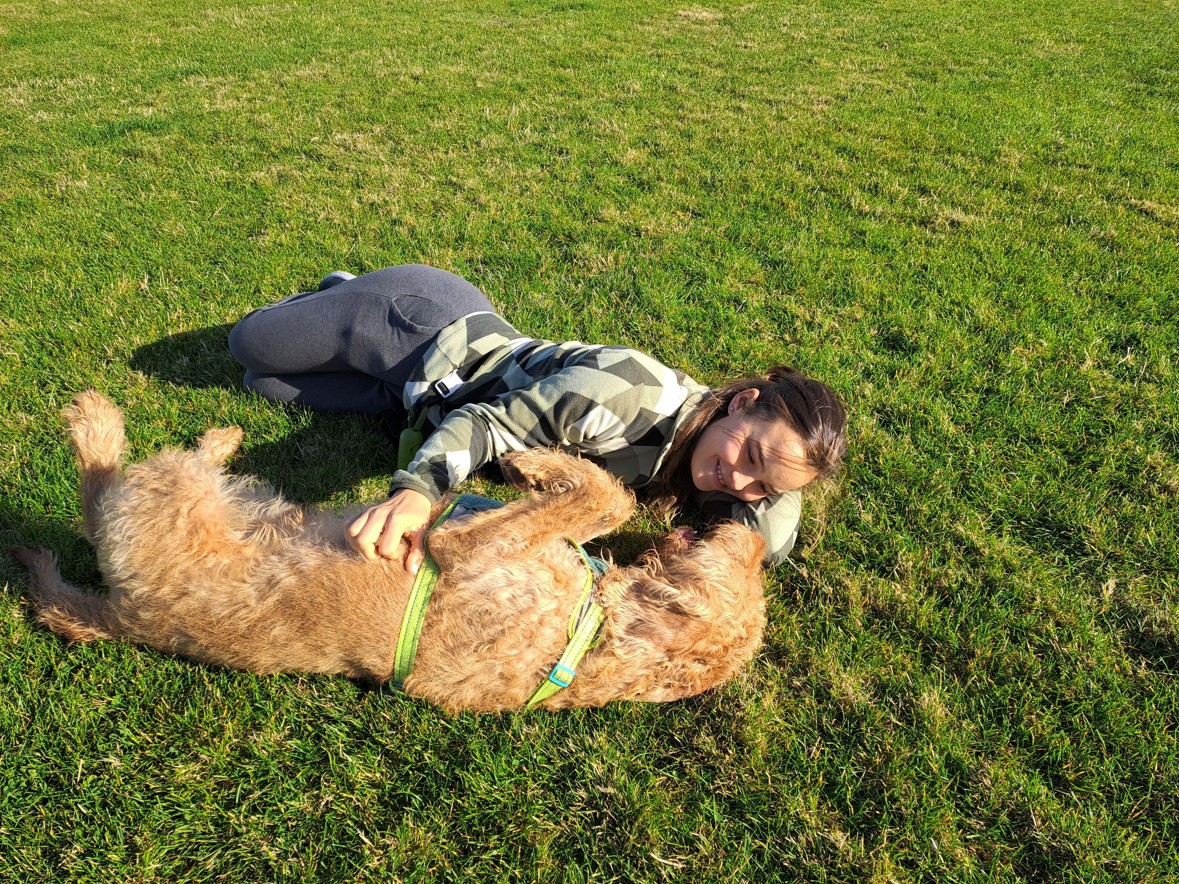 image-7