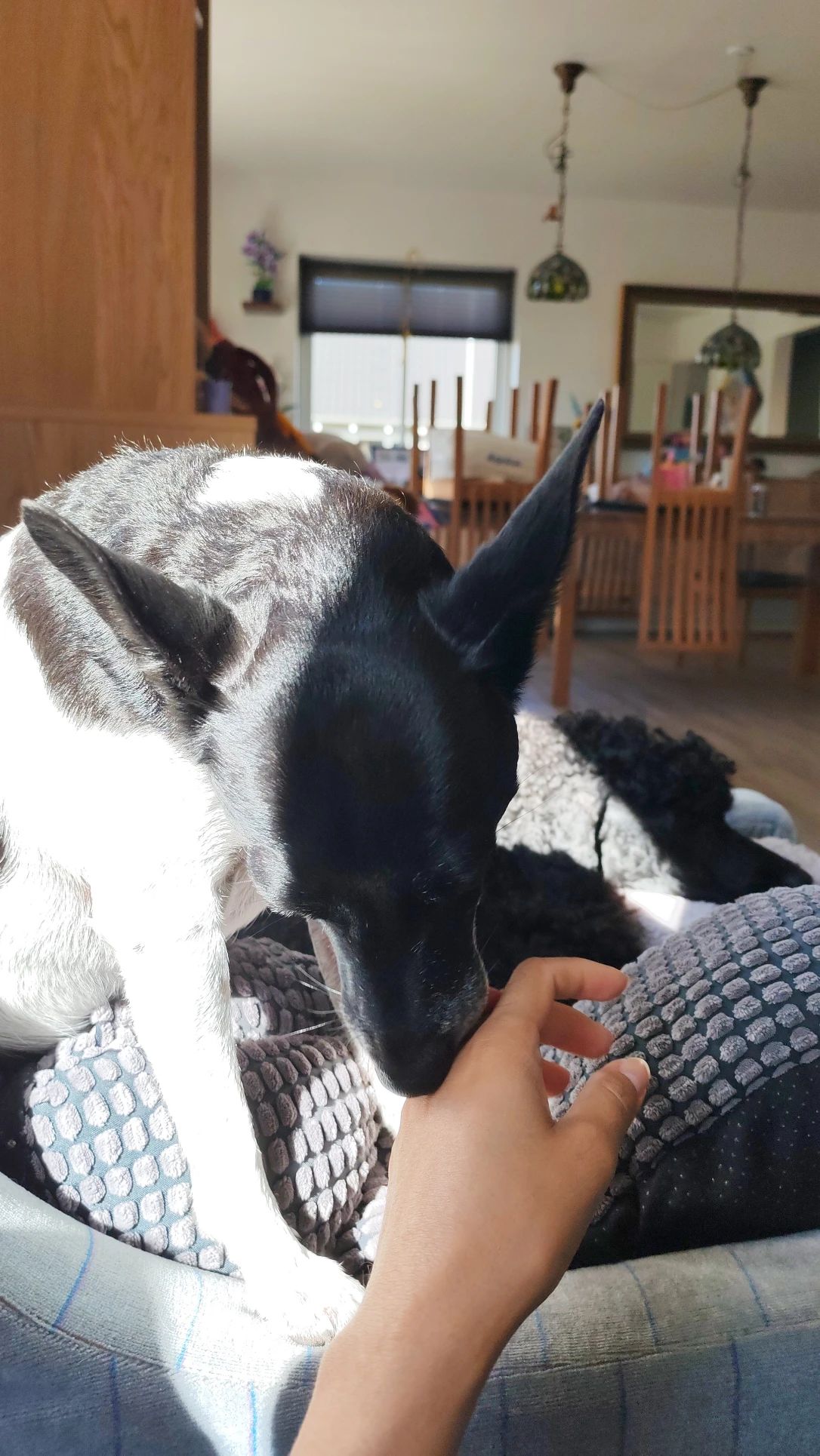 image-10