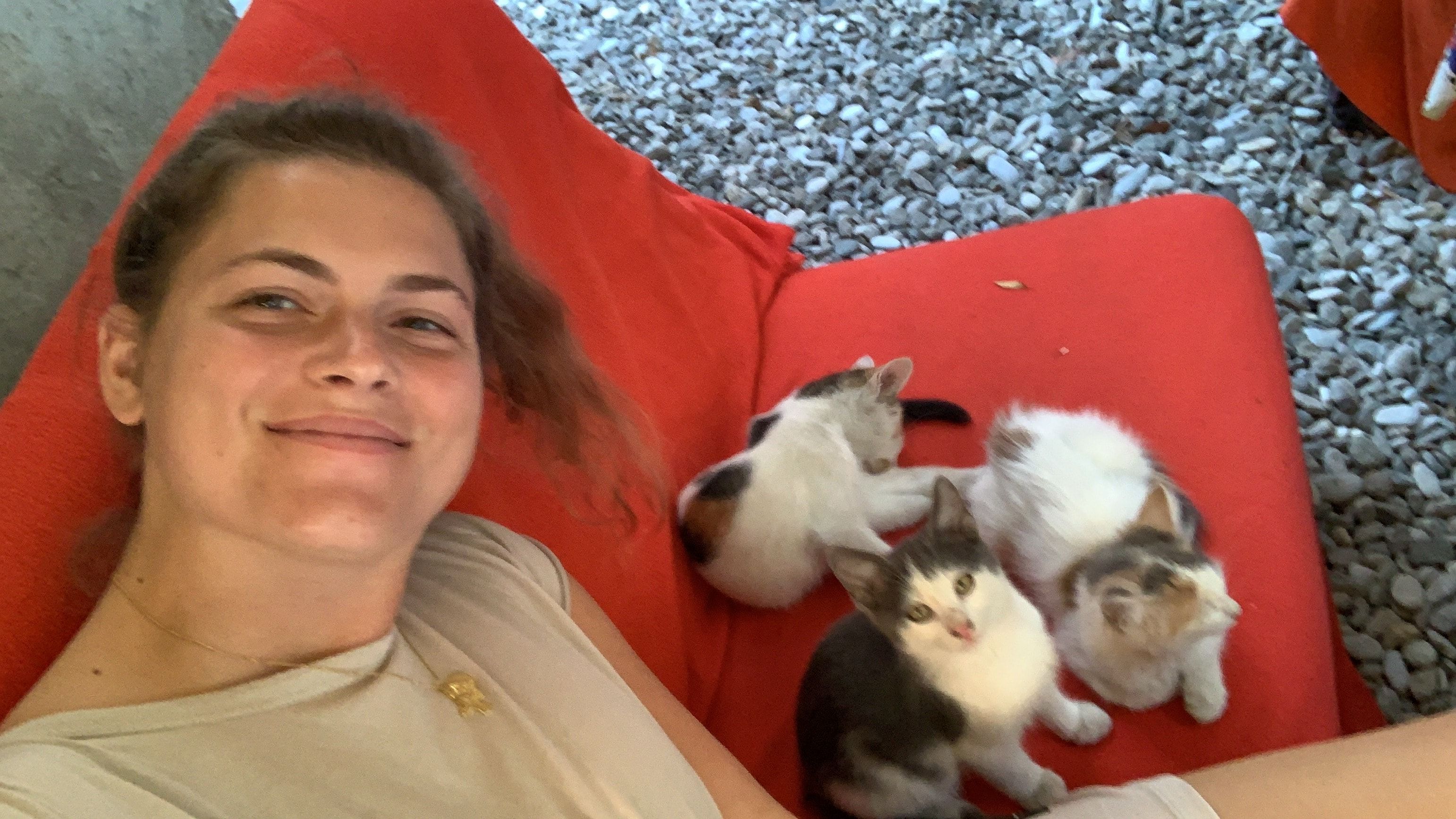 image-6
