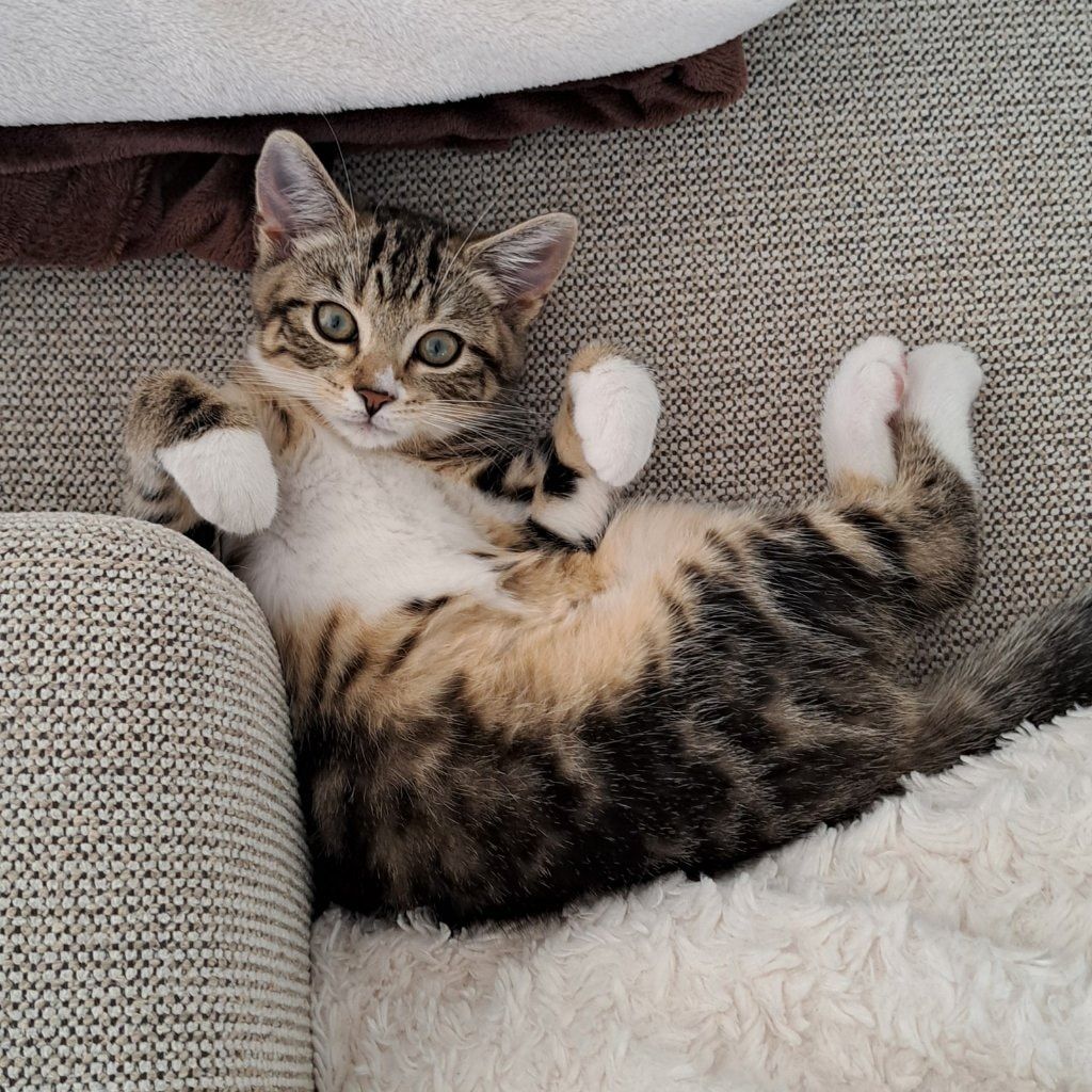 Kiki