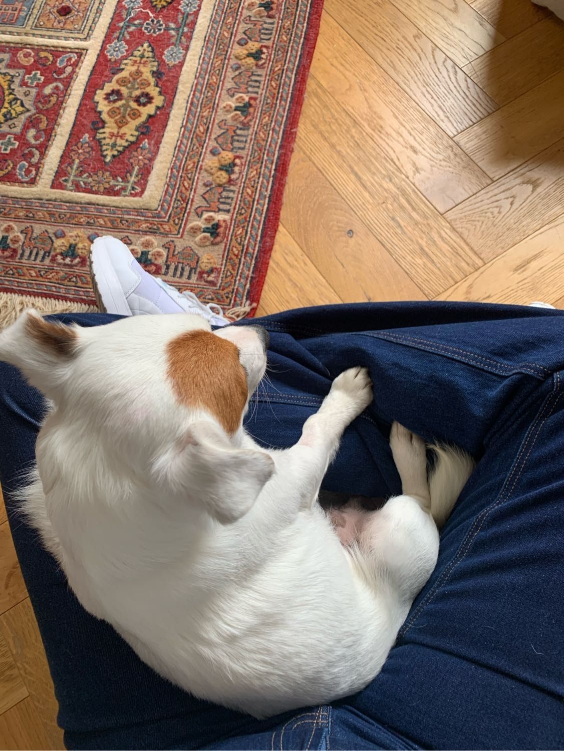 image-11