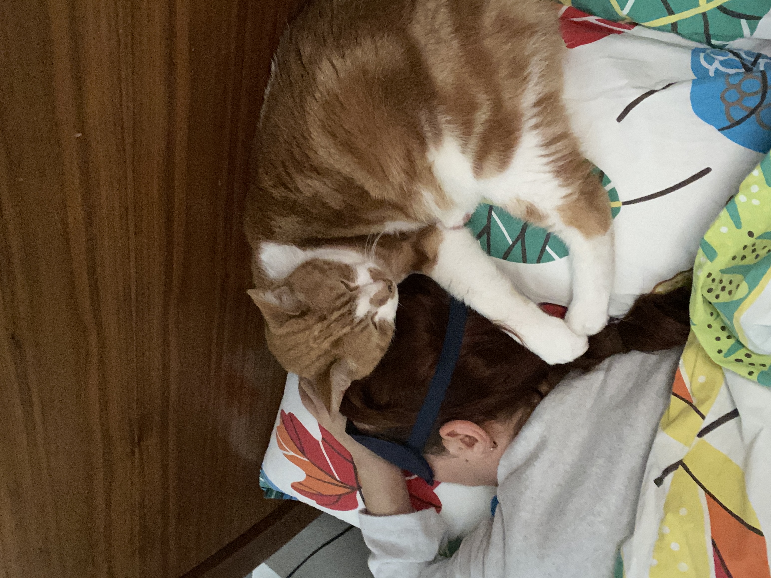 image-8