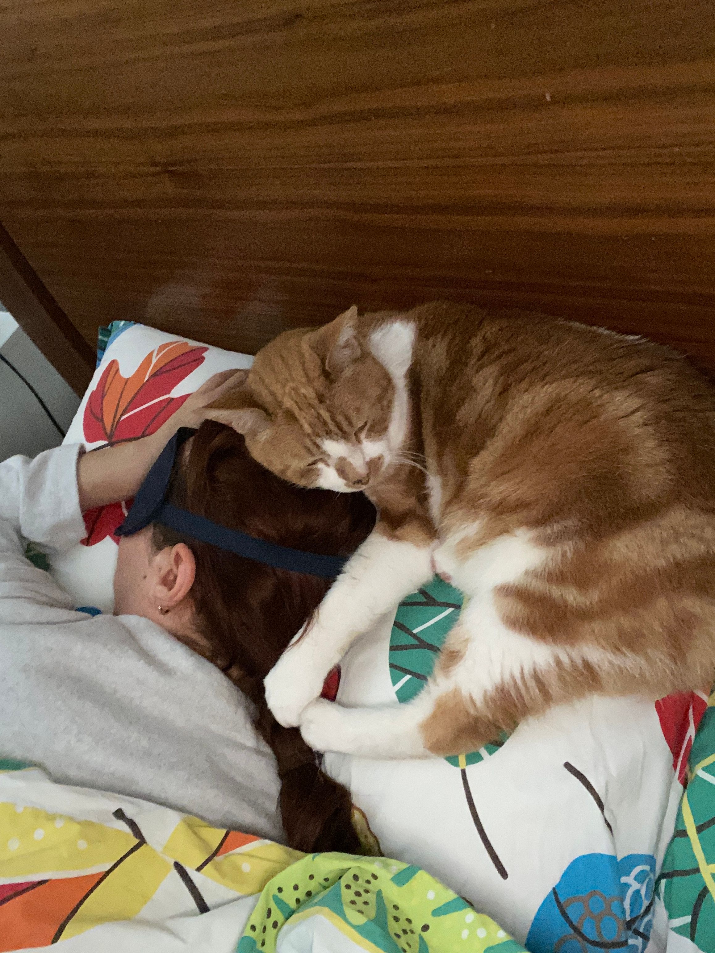 image-8