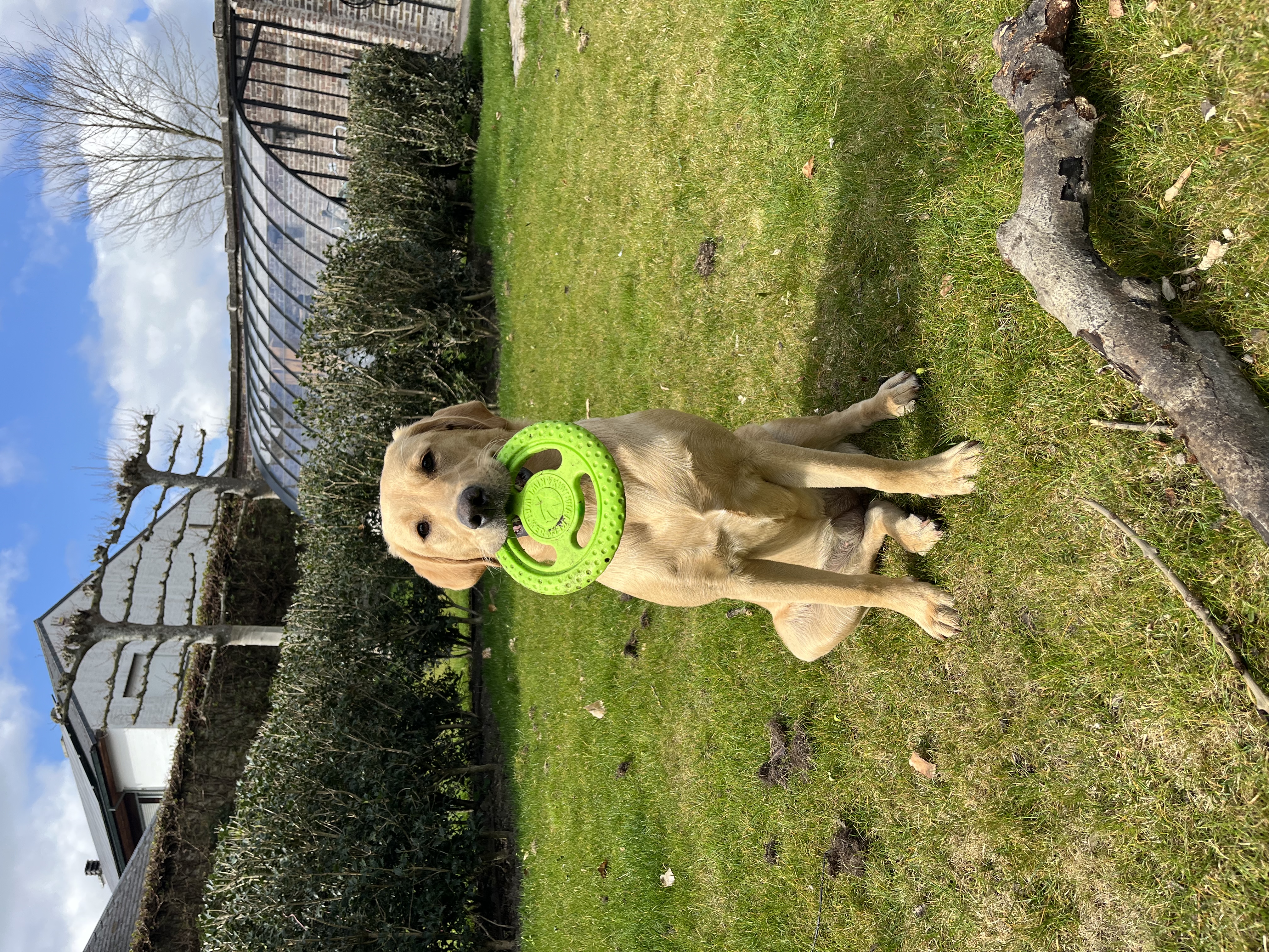 image-8