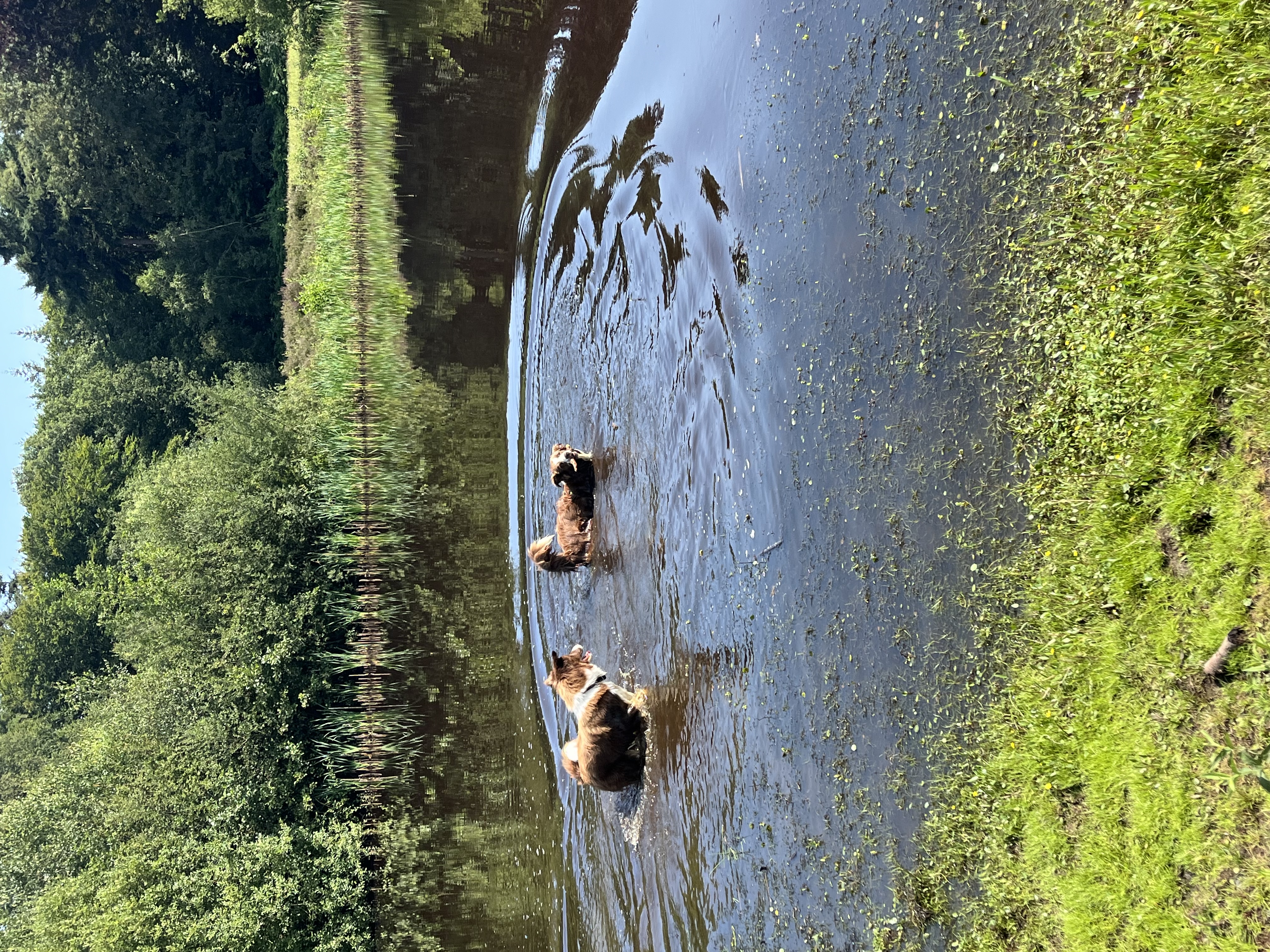 image-9