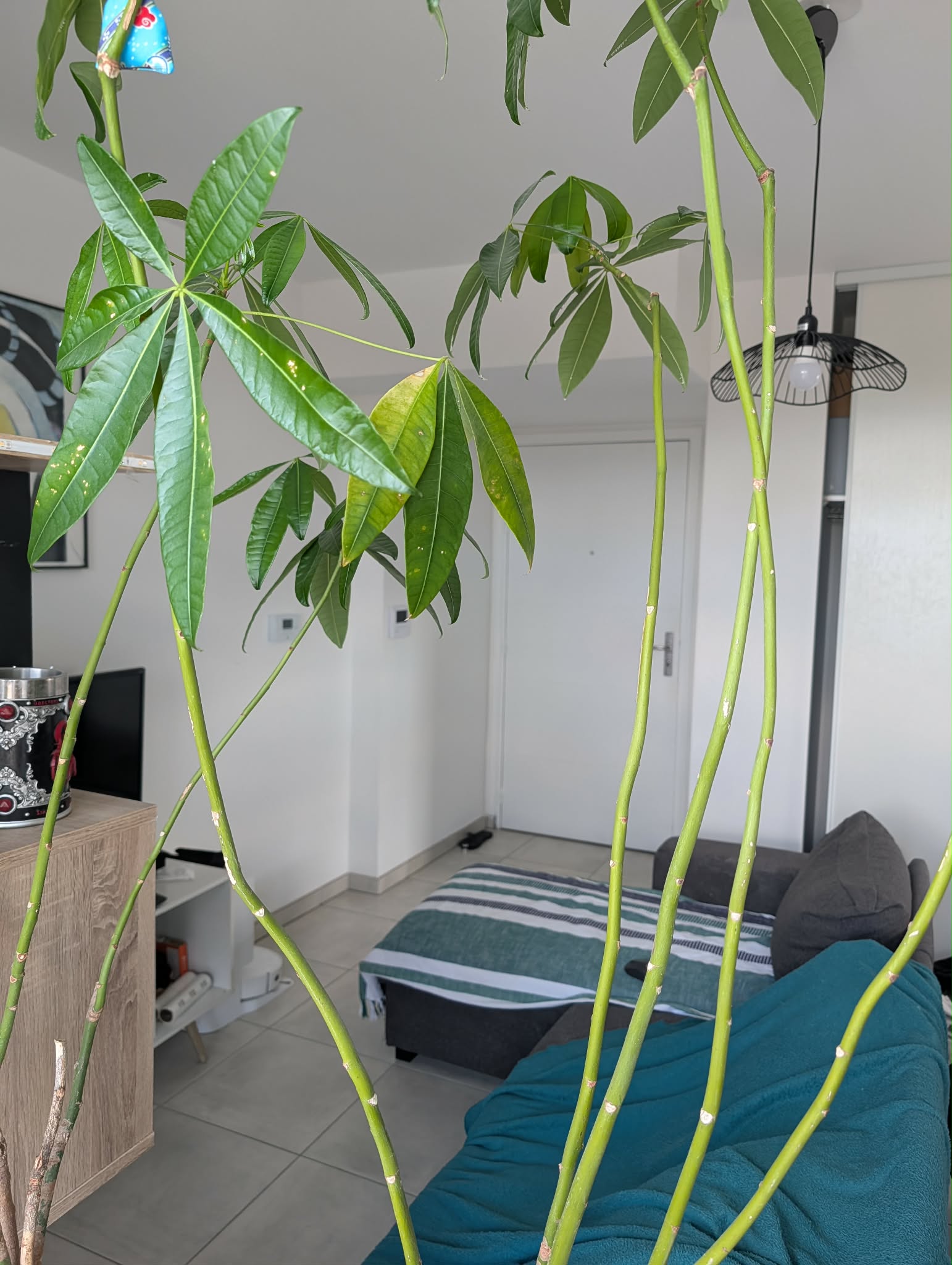 image-8