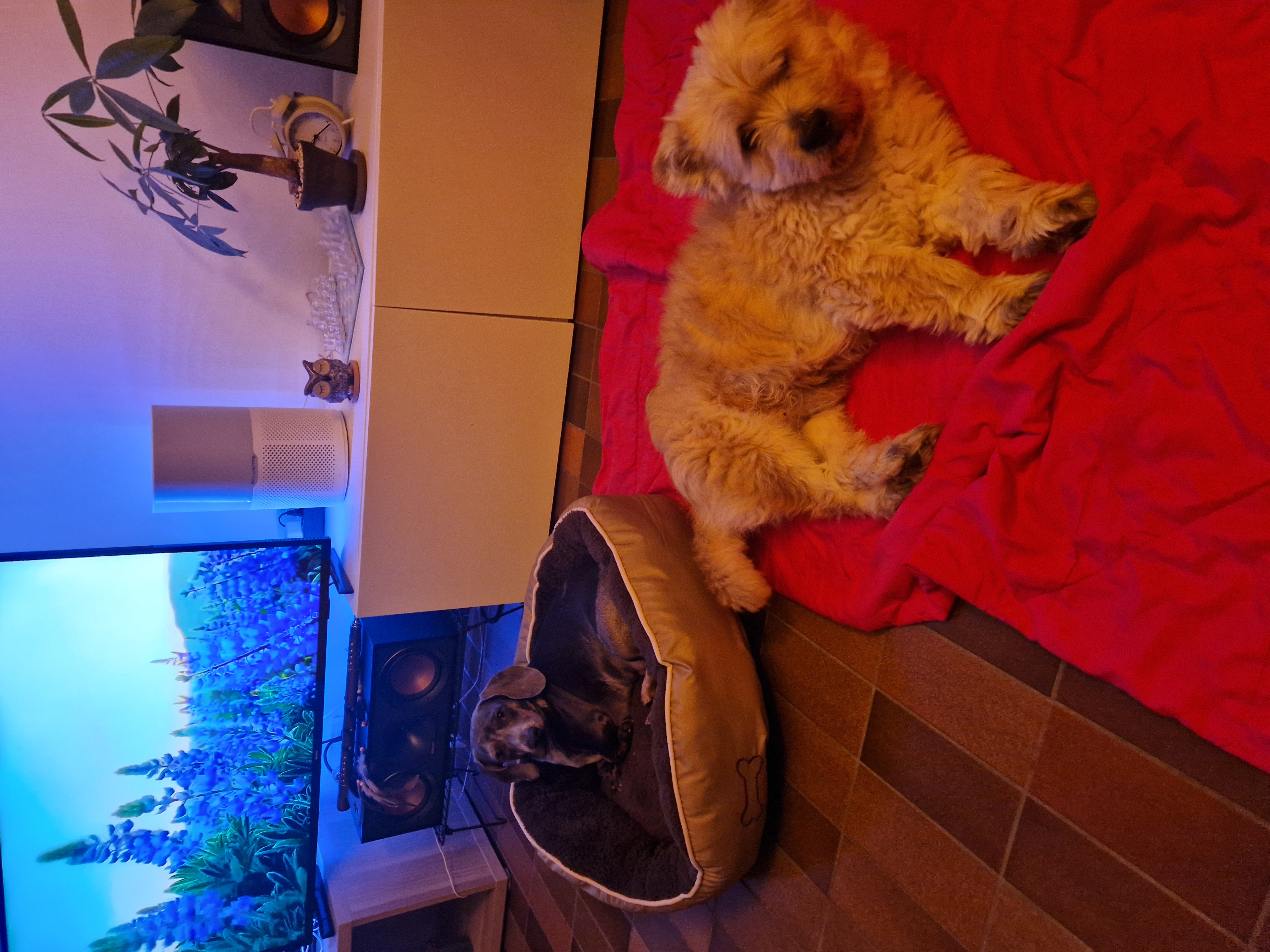 image-9