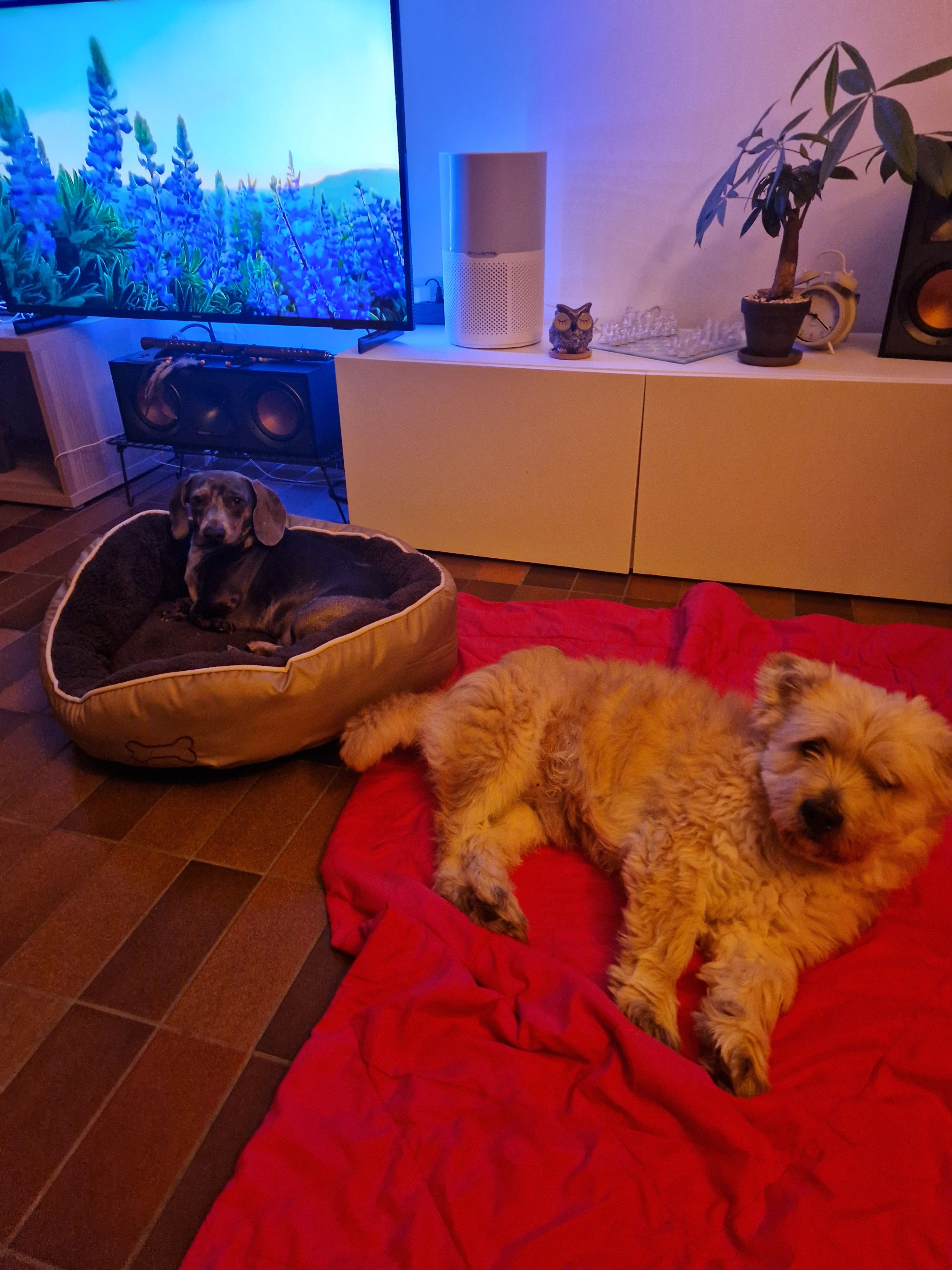 image-9
