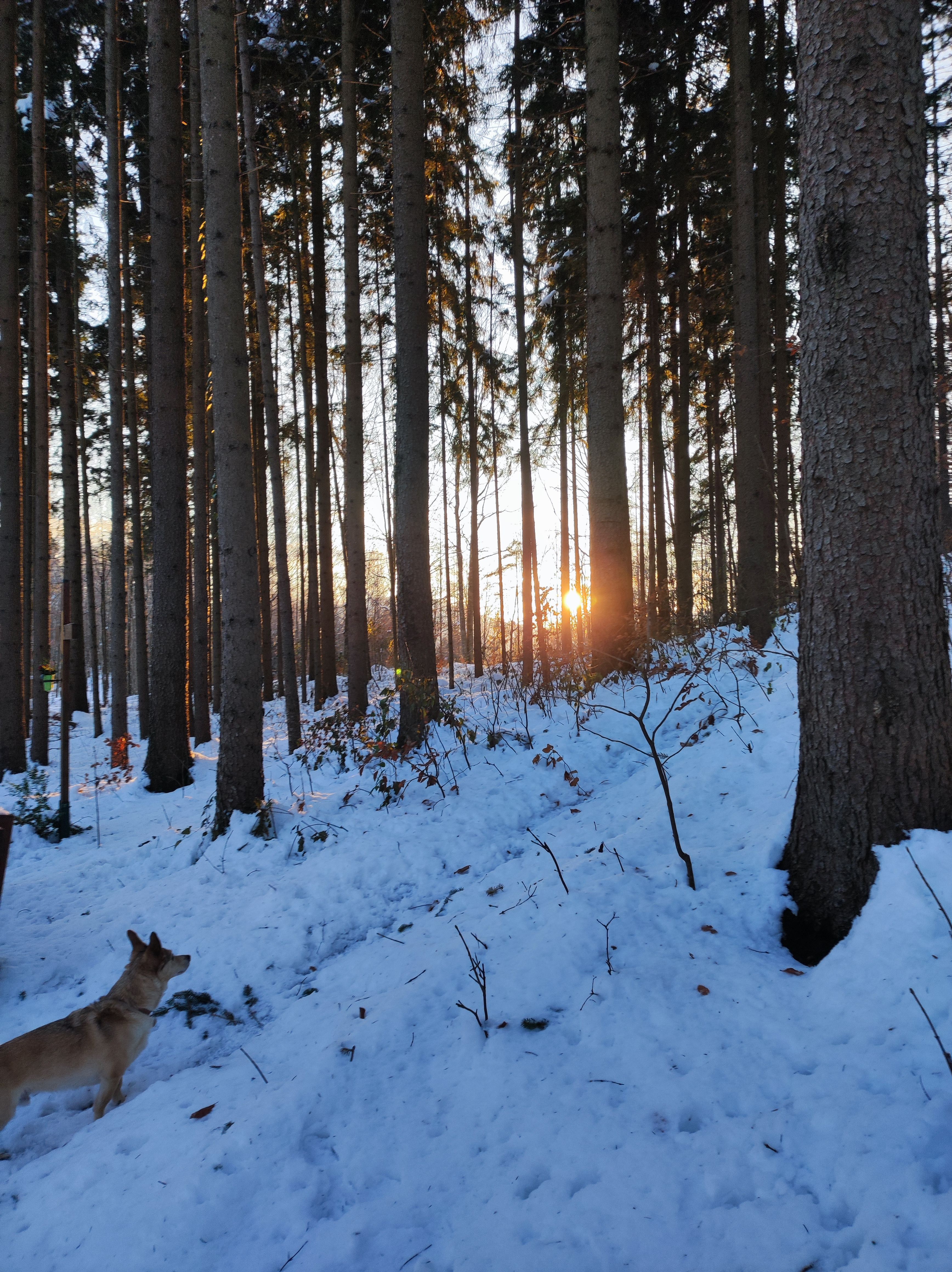 image-9