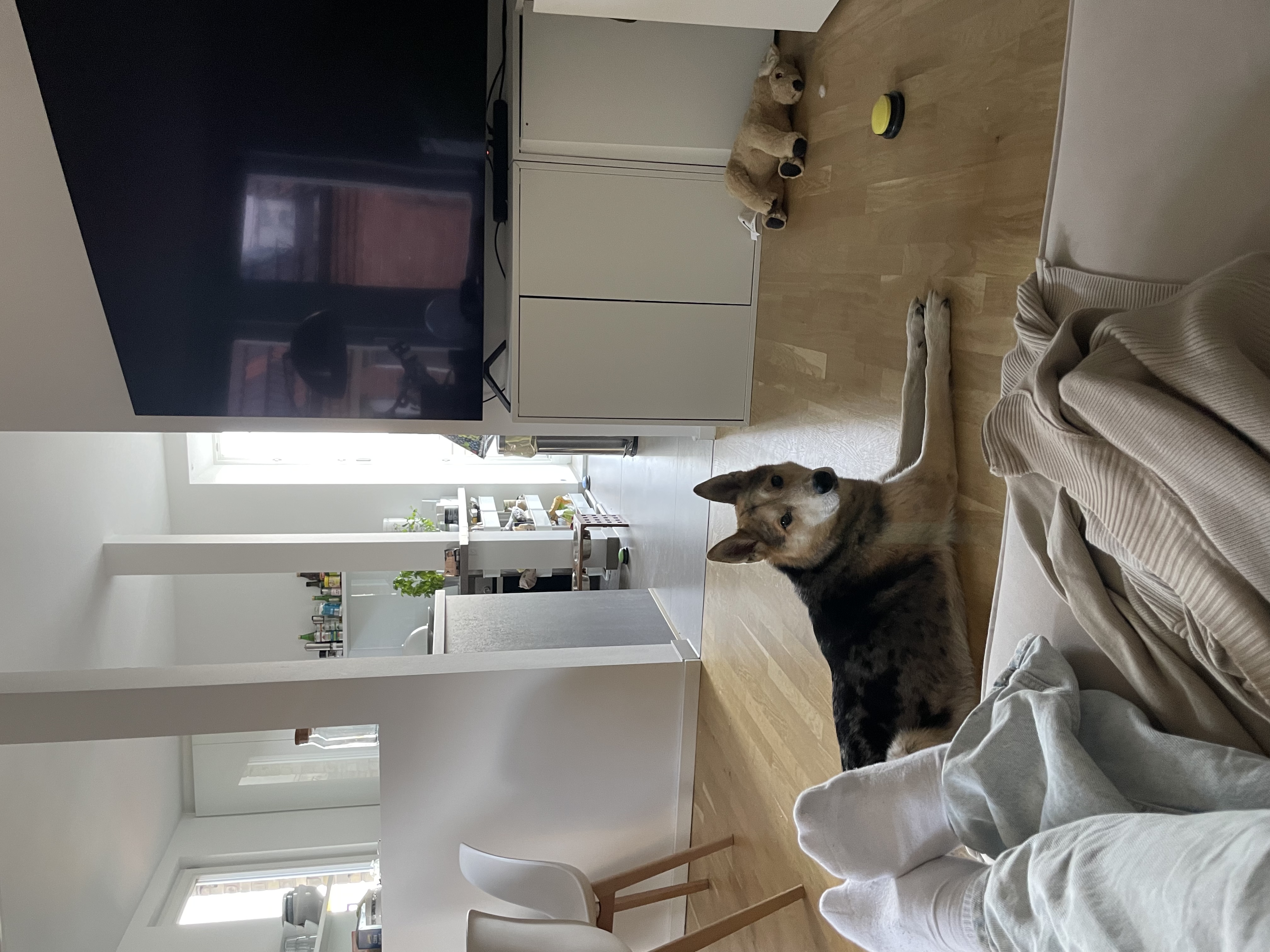 image-12