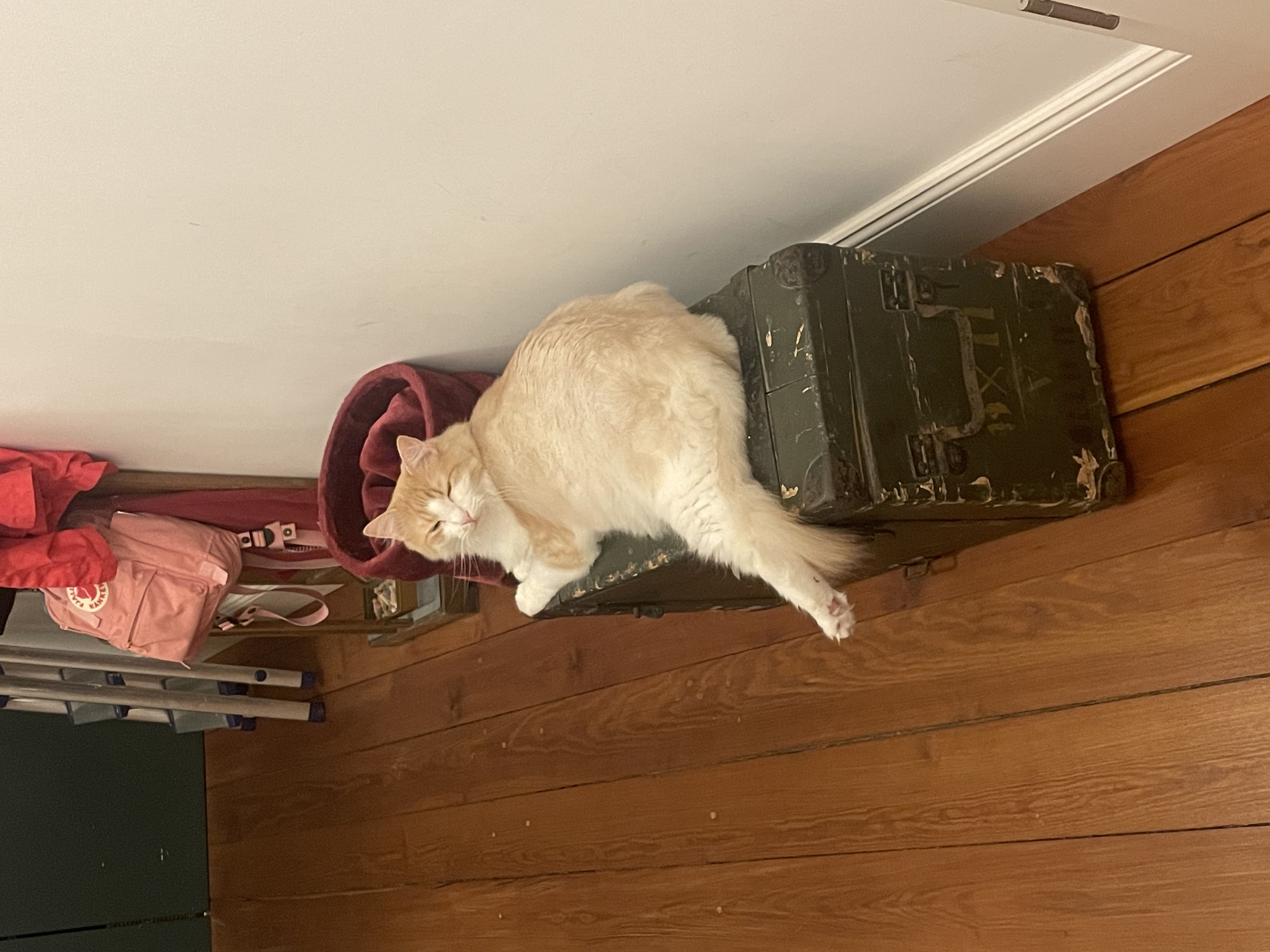 image-15