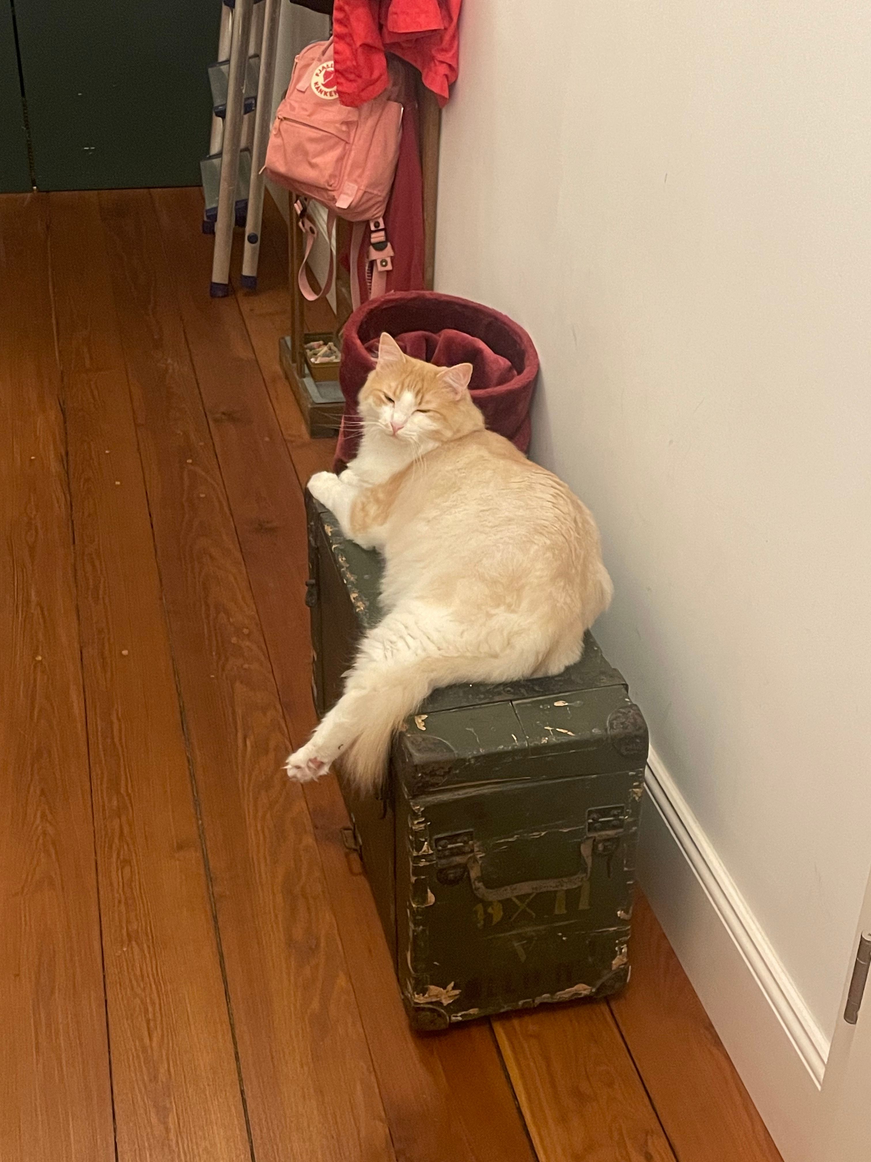 image-15